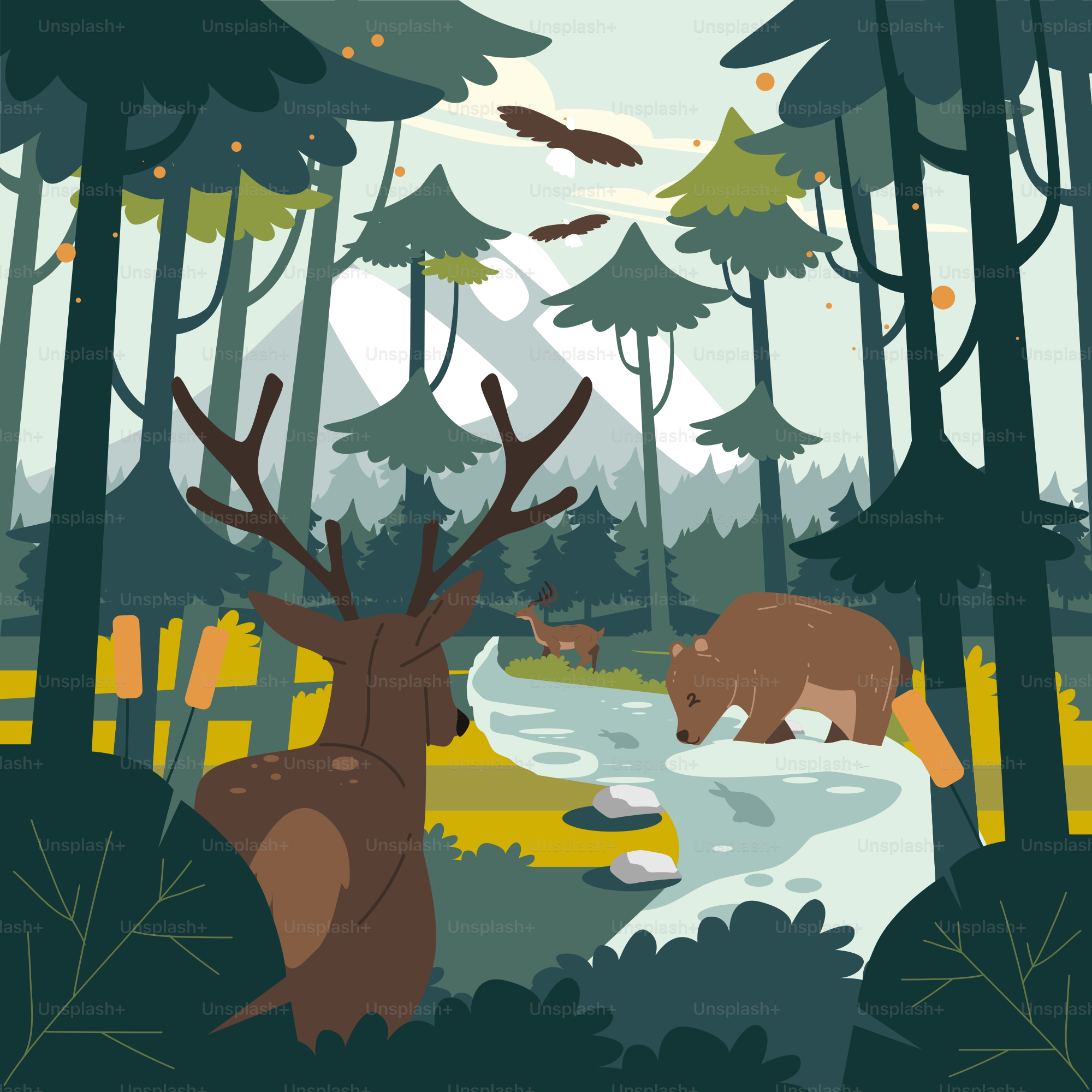 A bear and a bear are in the woods