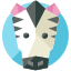Uma imagem da cabeça de uma zebra em círculo
