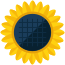 A yellow sunflower with a blue center