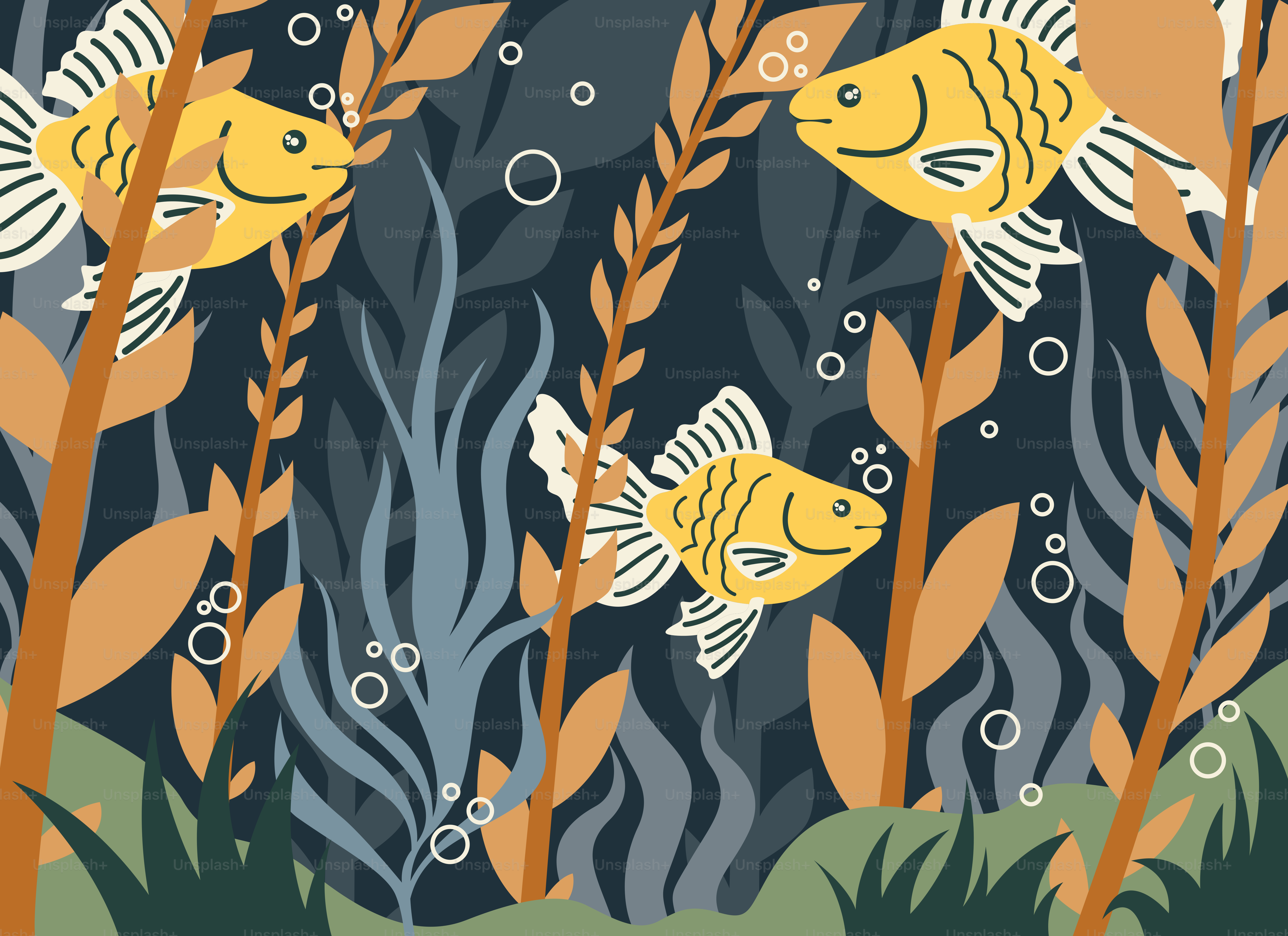 A group of fish swimming in the water