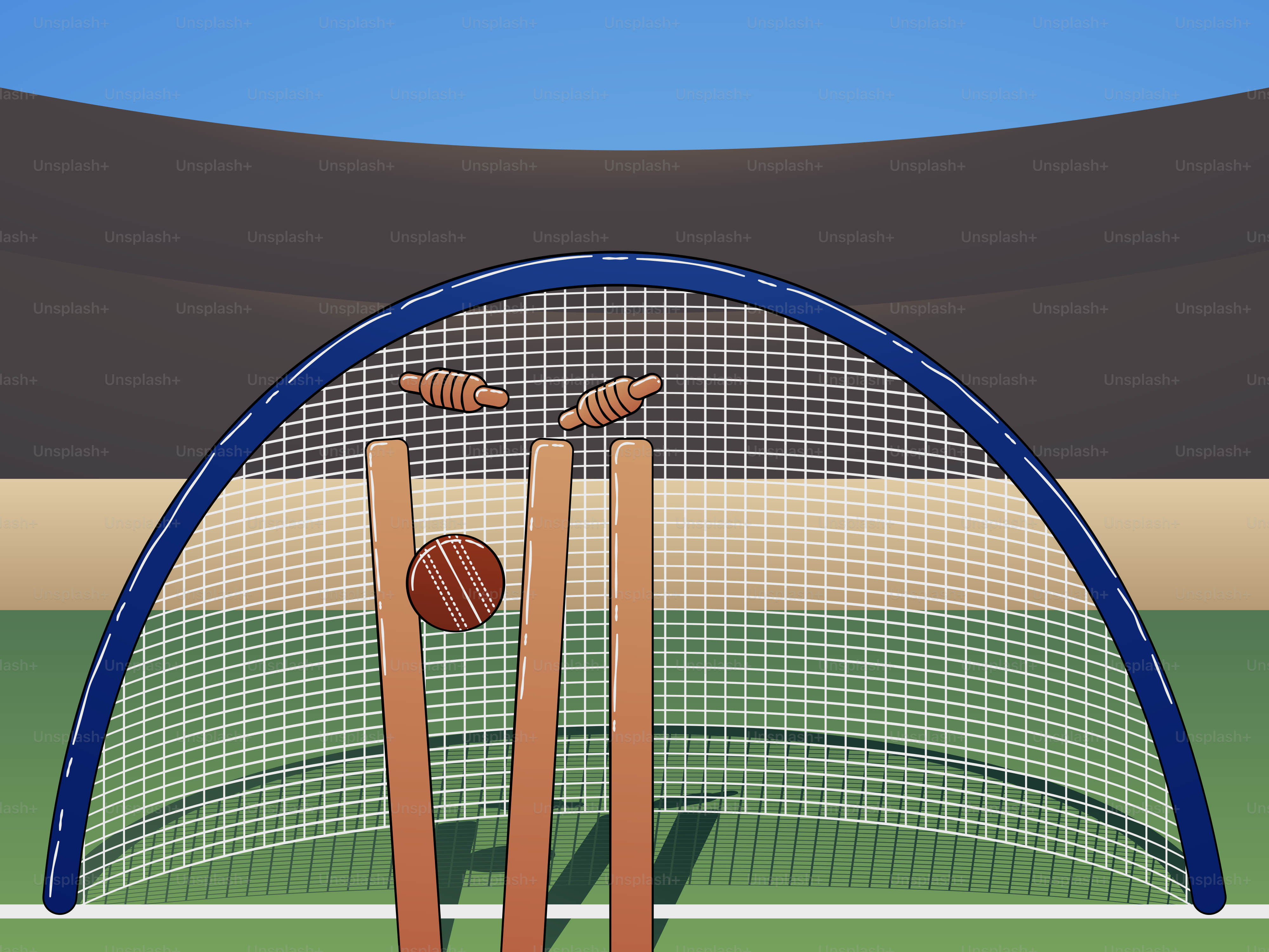 Un'immagine di due mazze da cricket e una palla