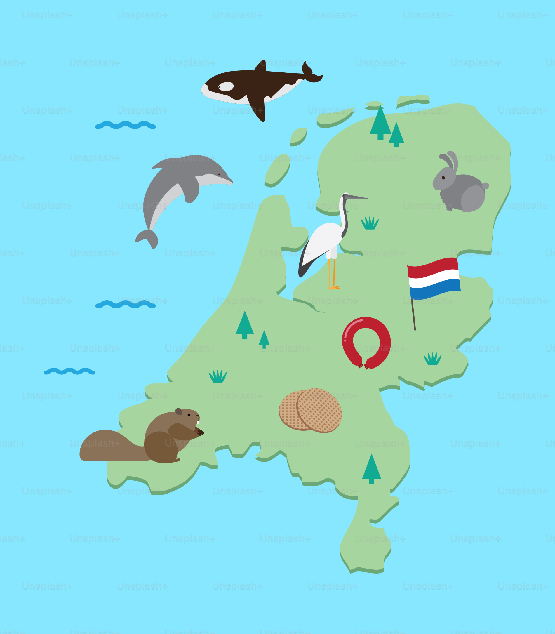 Une carte des États-Unis avec des animaux