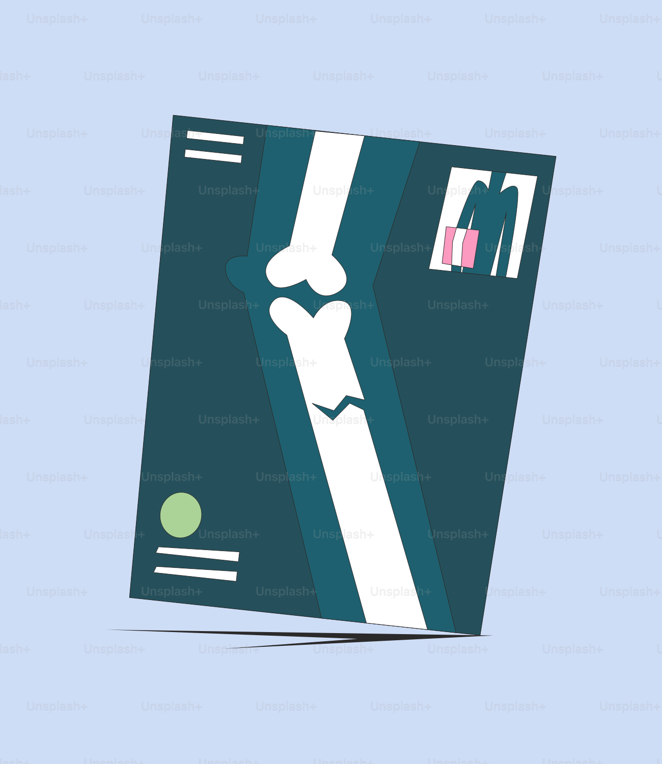 A book with a picture of a bone on it