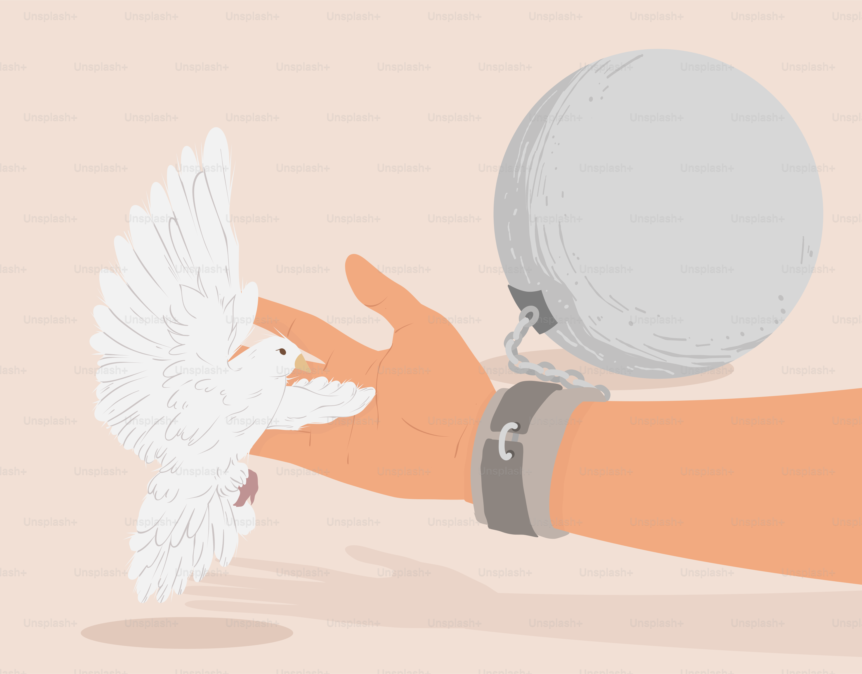 Une main tenant une balle et un oiseau blanc