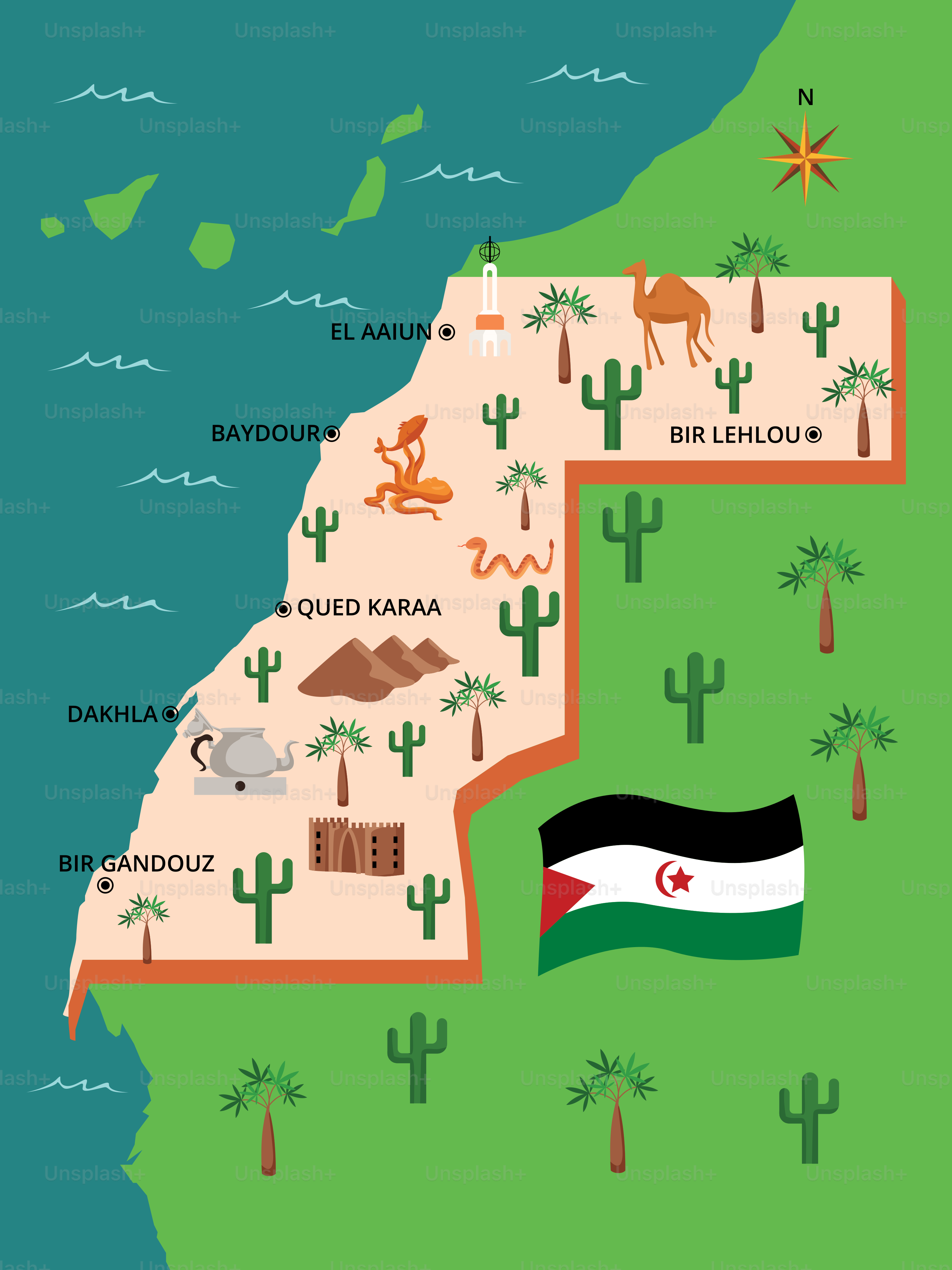 A map of the united states with a flag