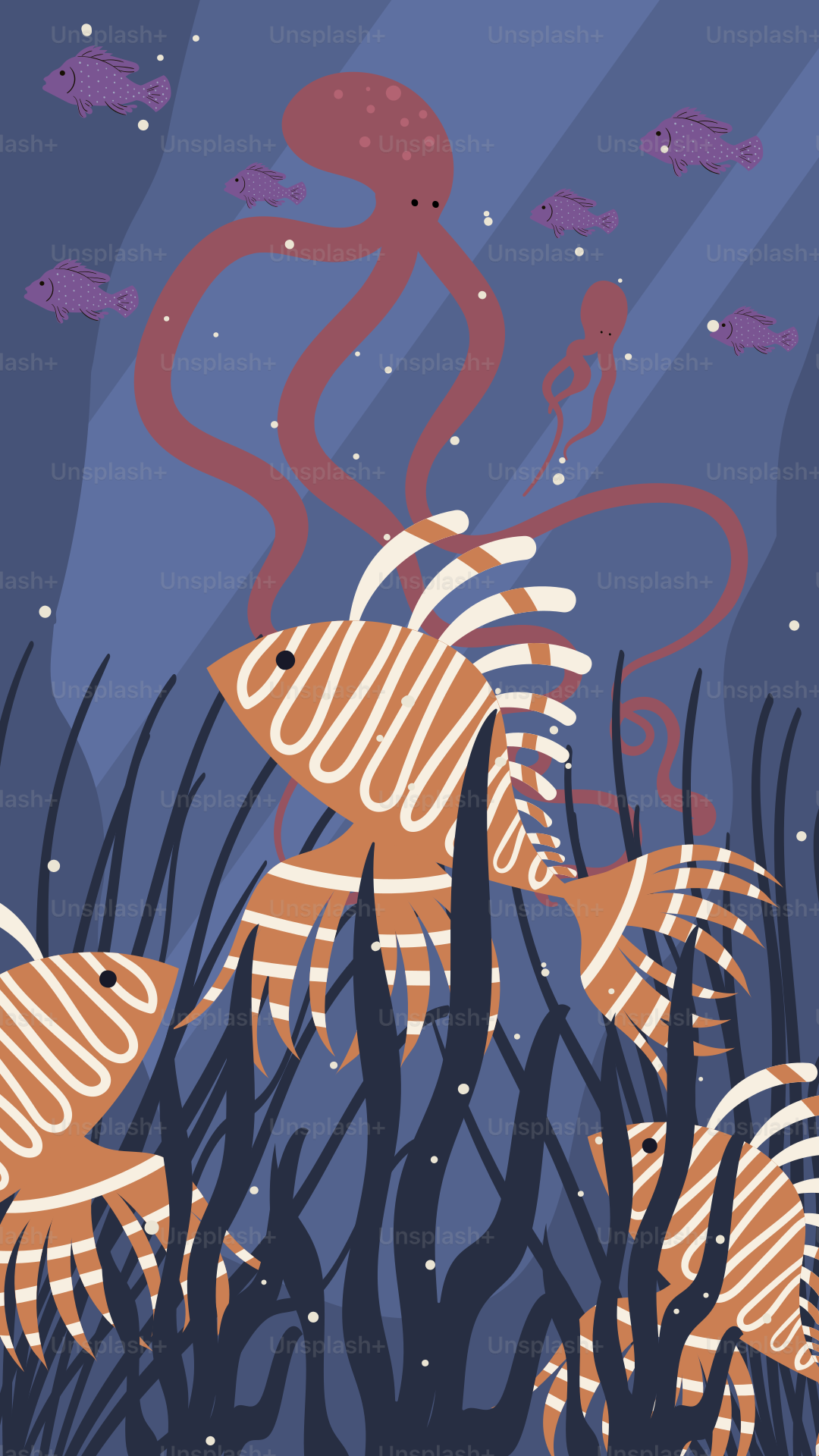 A group of fish swimming in a body of water