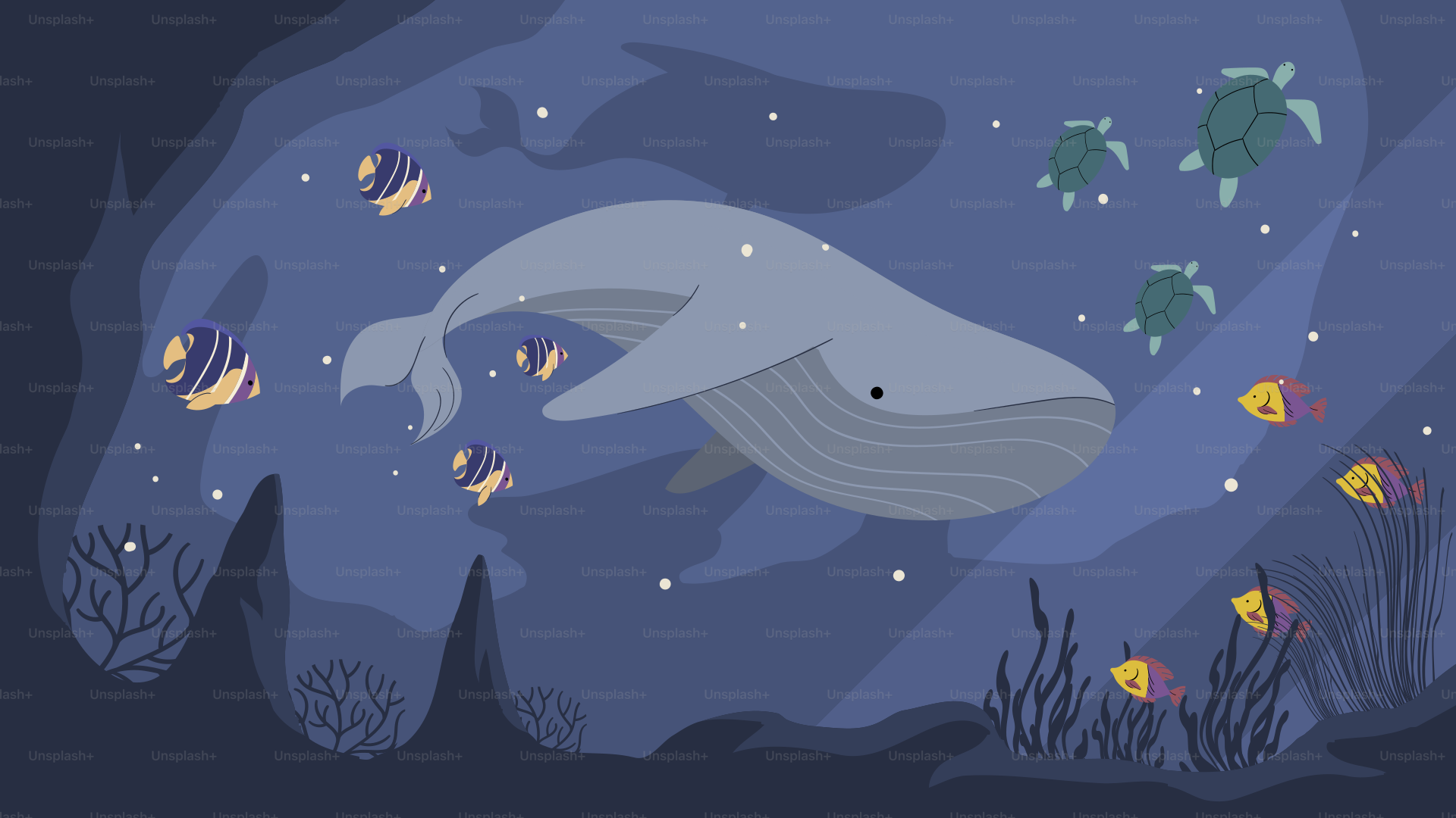 A whale swimming in the ocean surrounded by fish