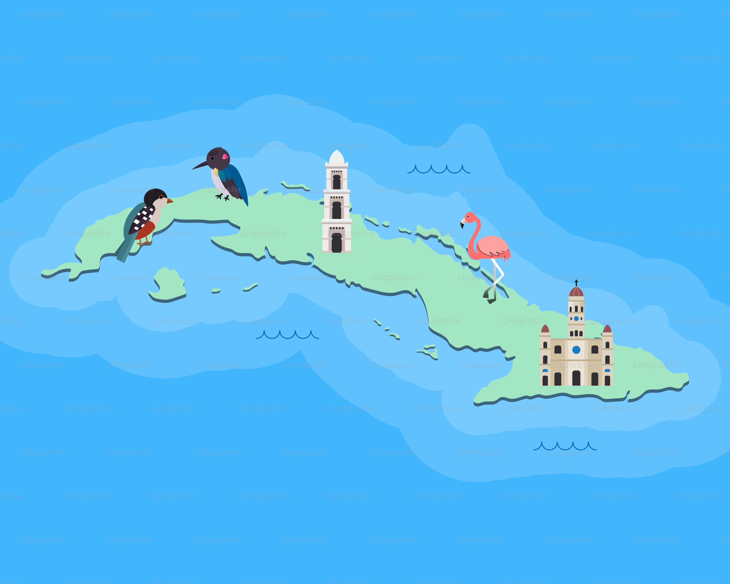 Una mappa dell'isola con uccelli