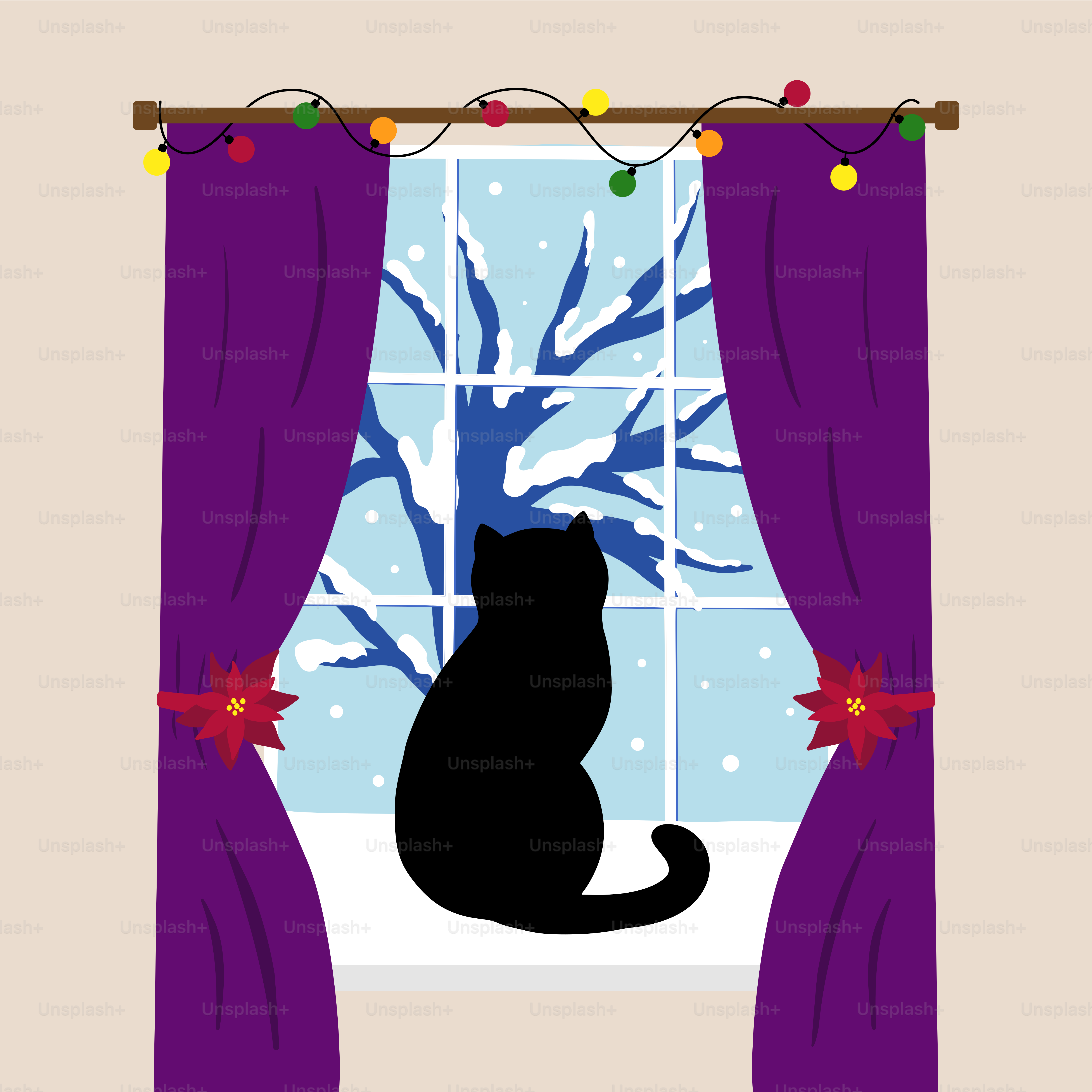 A black cat sitting in front of a window