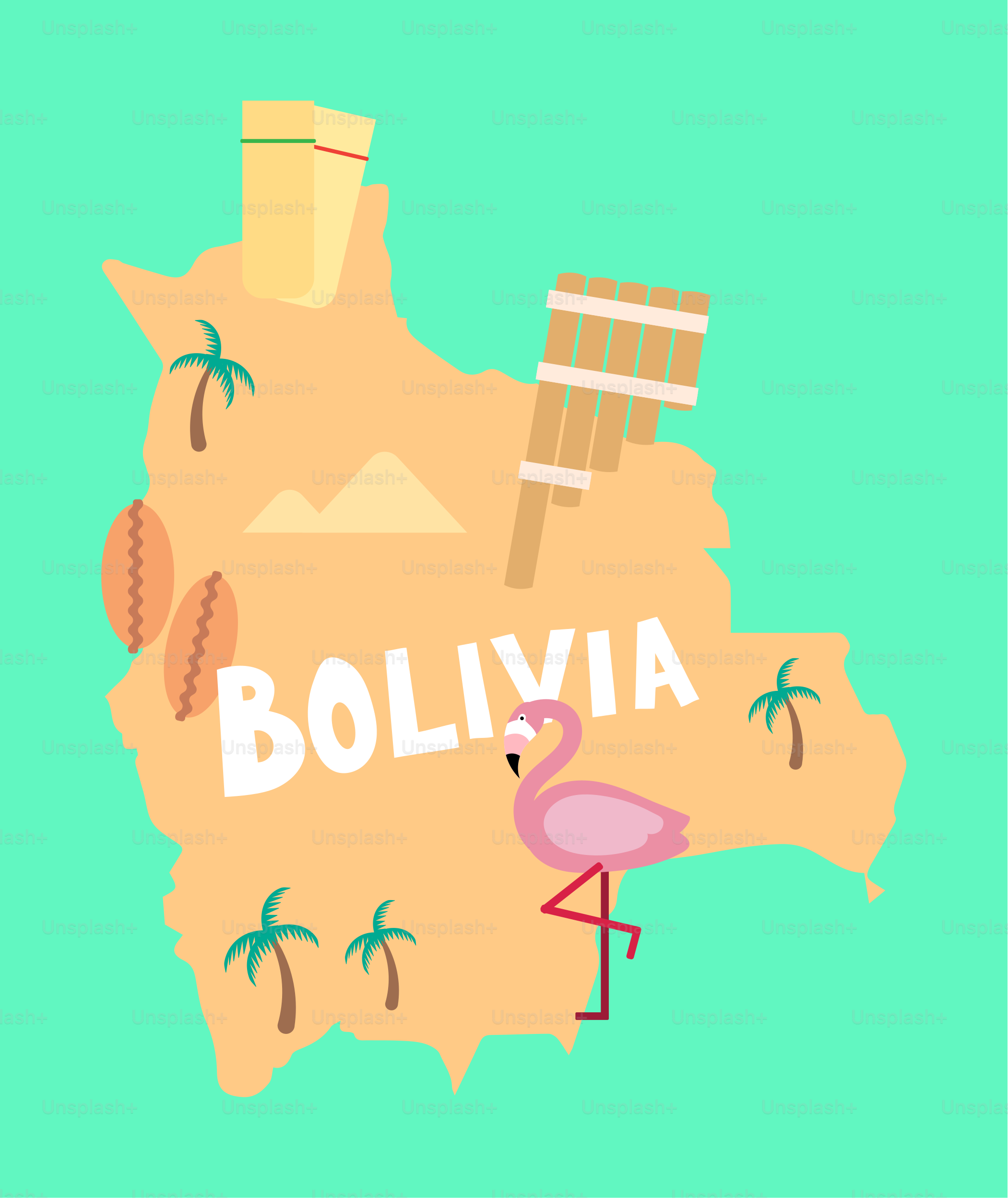 Une carte du pays de la Bolivie avec un flamant rose