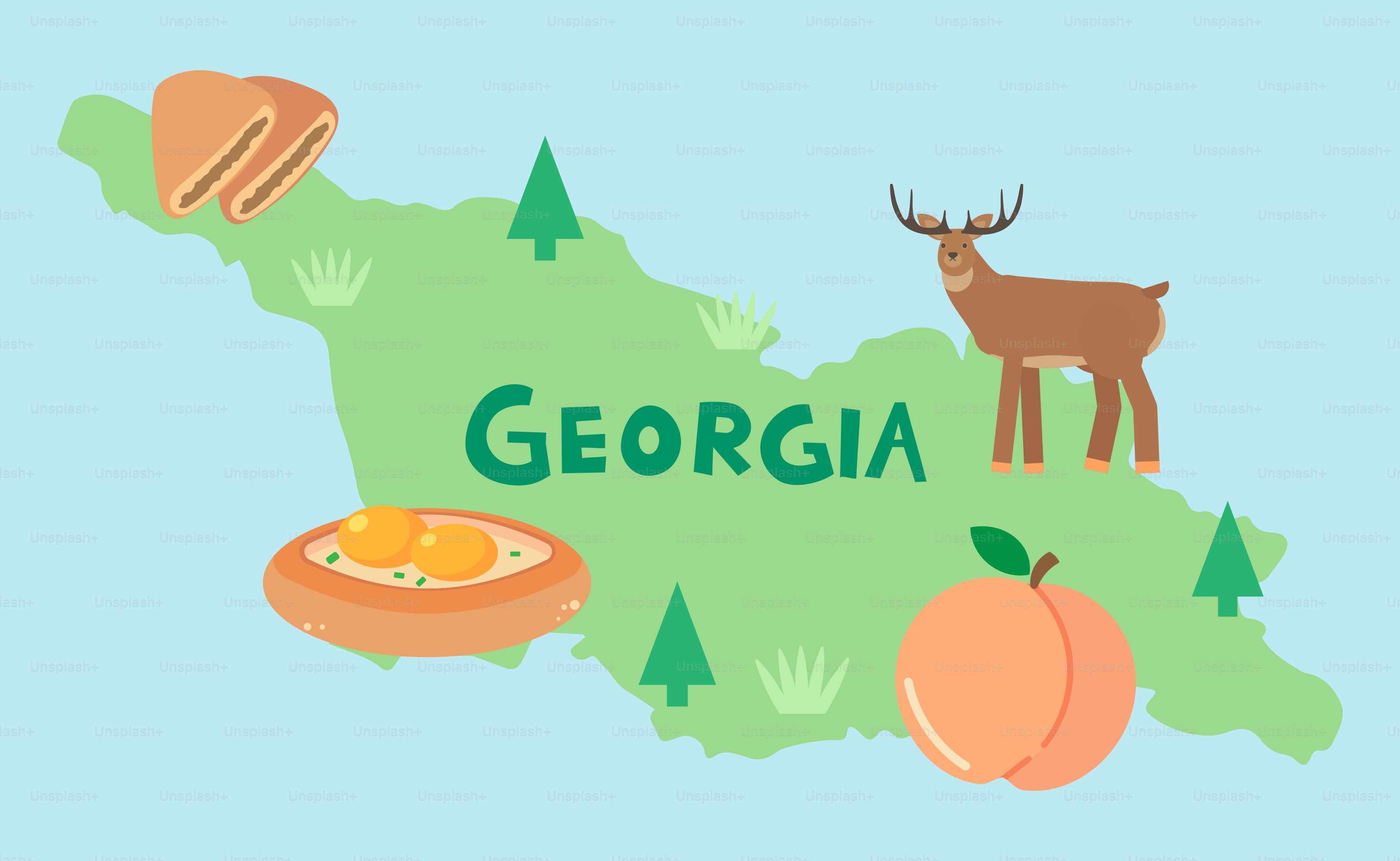 A map of the state of georgia