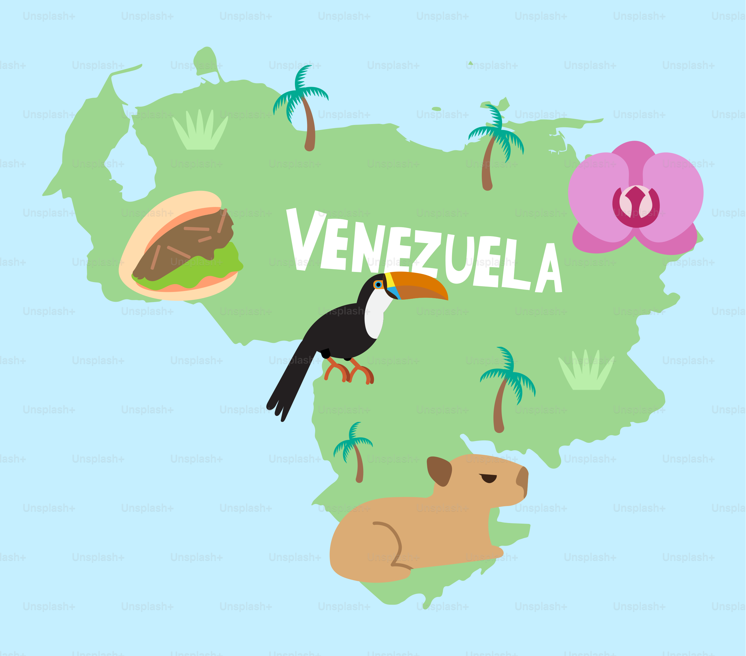 Une carte du pays du Venezuela