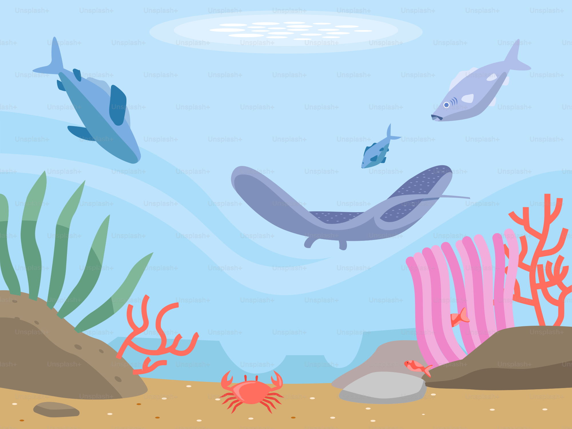A group of fish swimming in the ocean