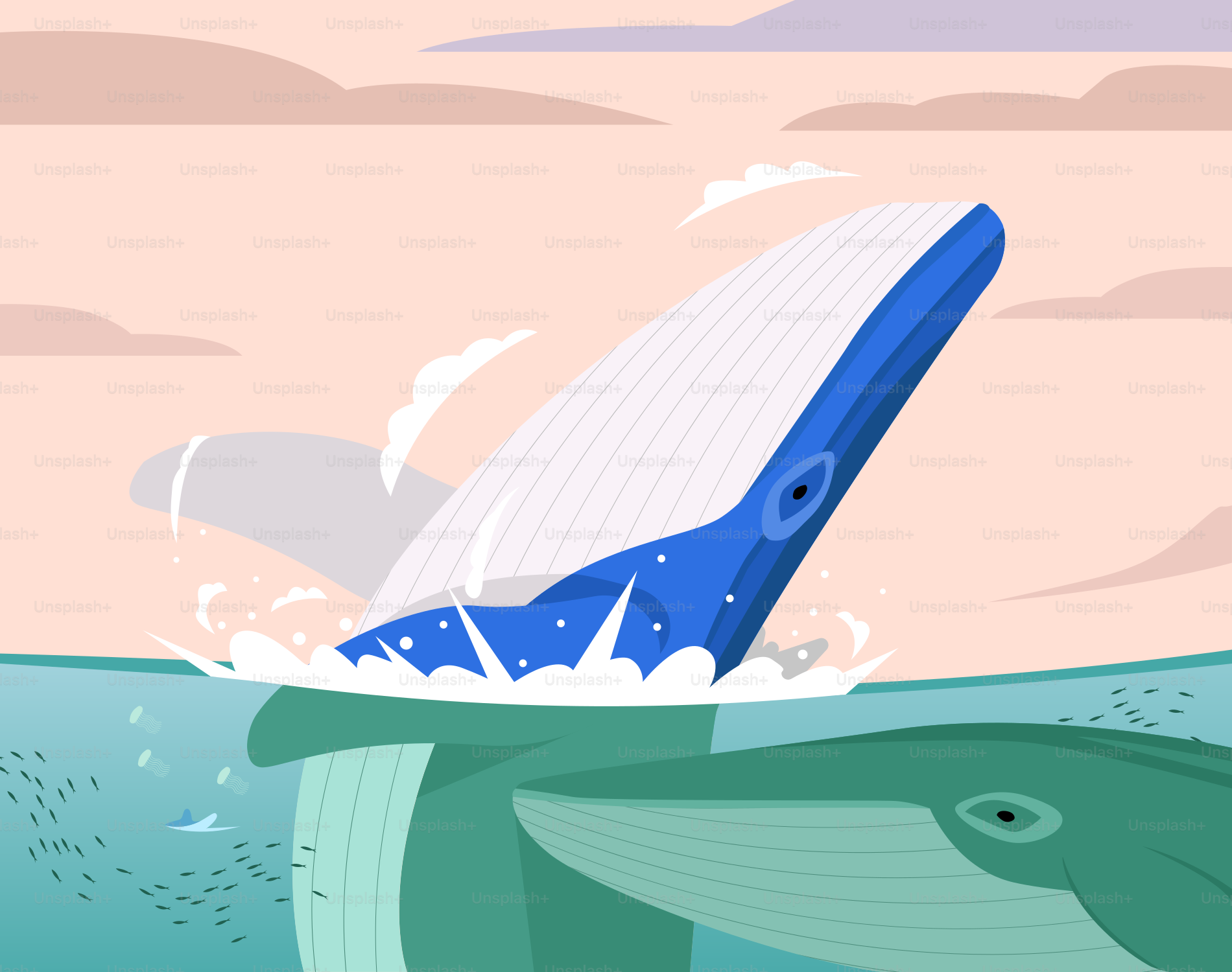 A whale that is swimming in the water