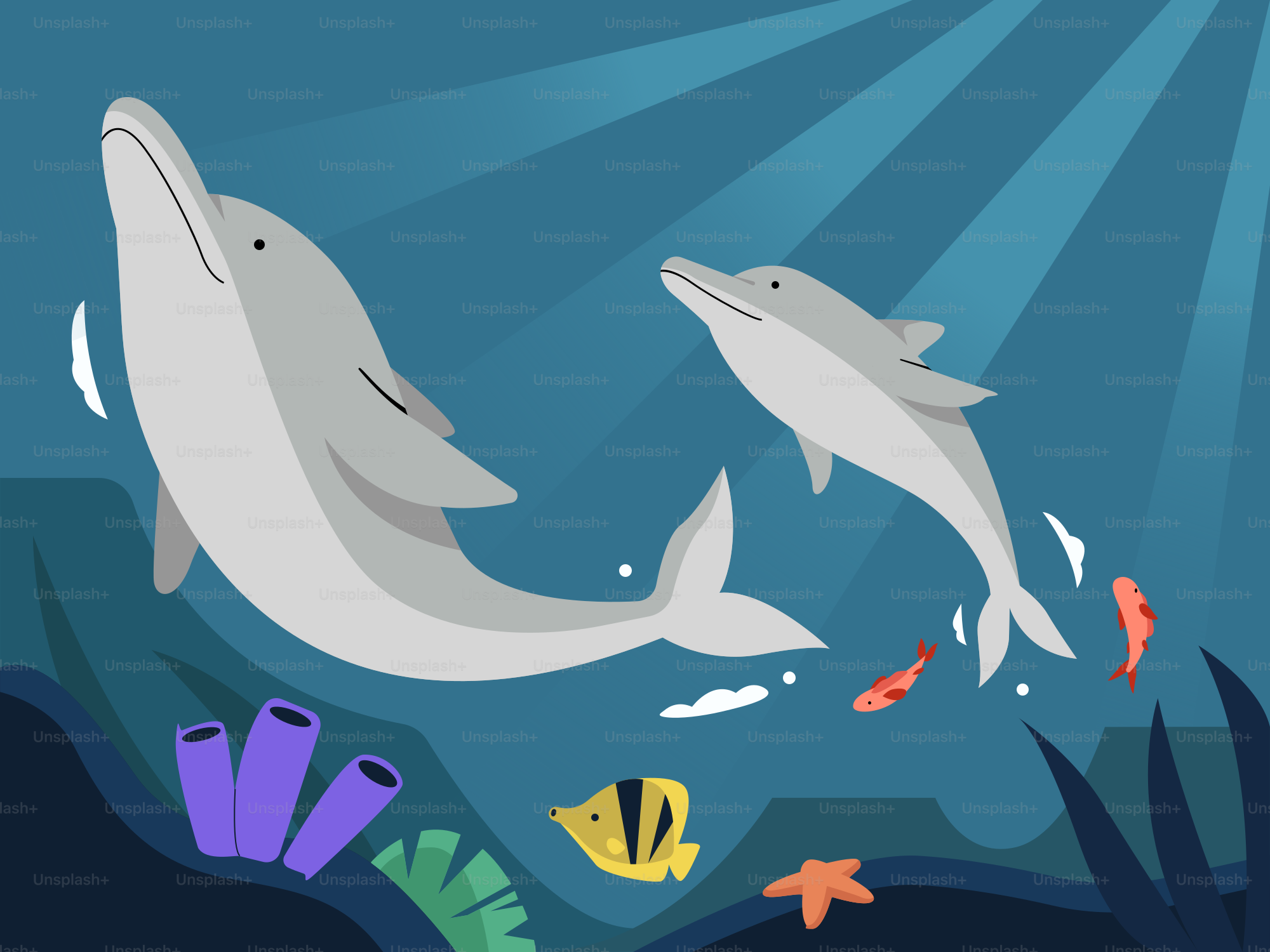A couple of dolphins swimming in the ocean