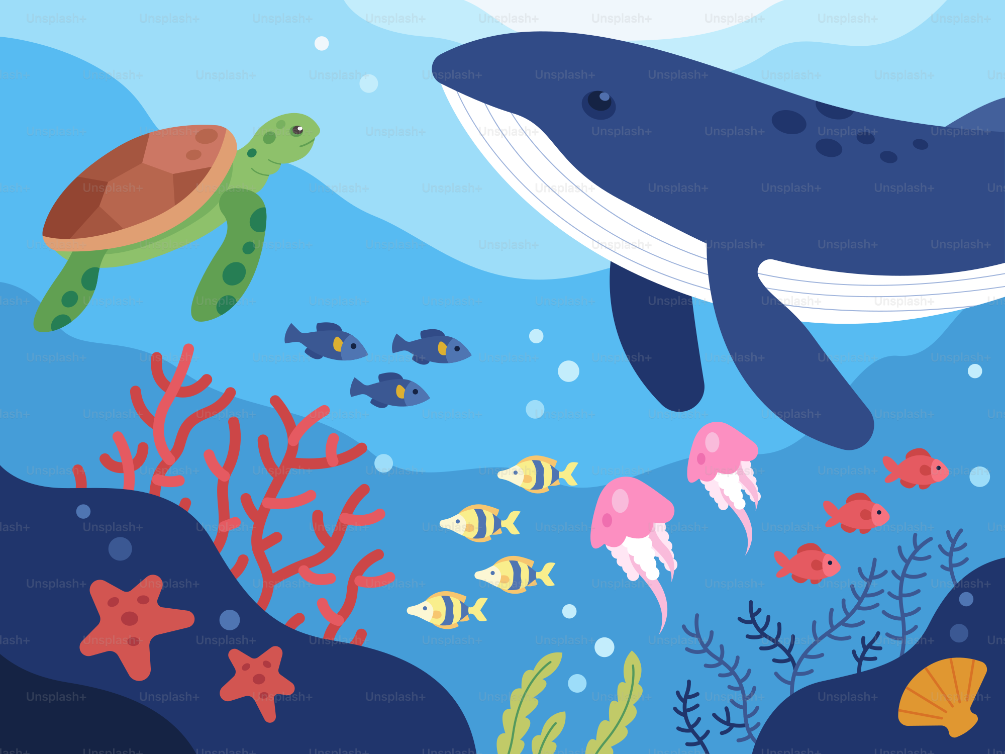 A whale and a turtle swimming in the ocean