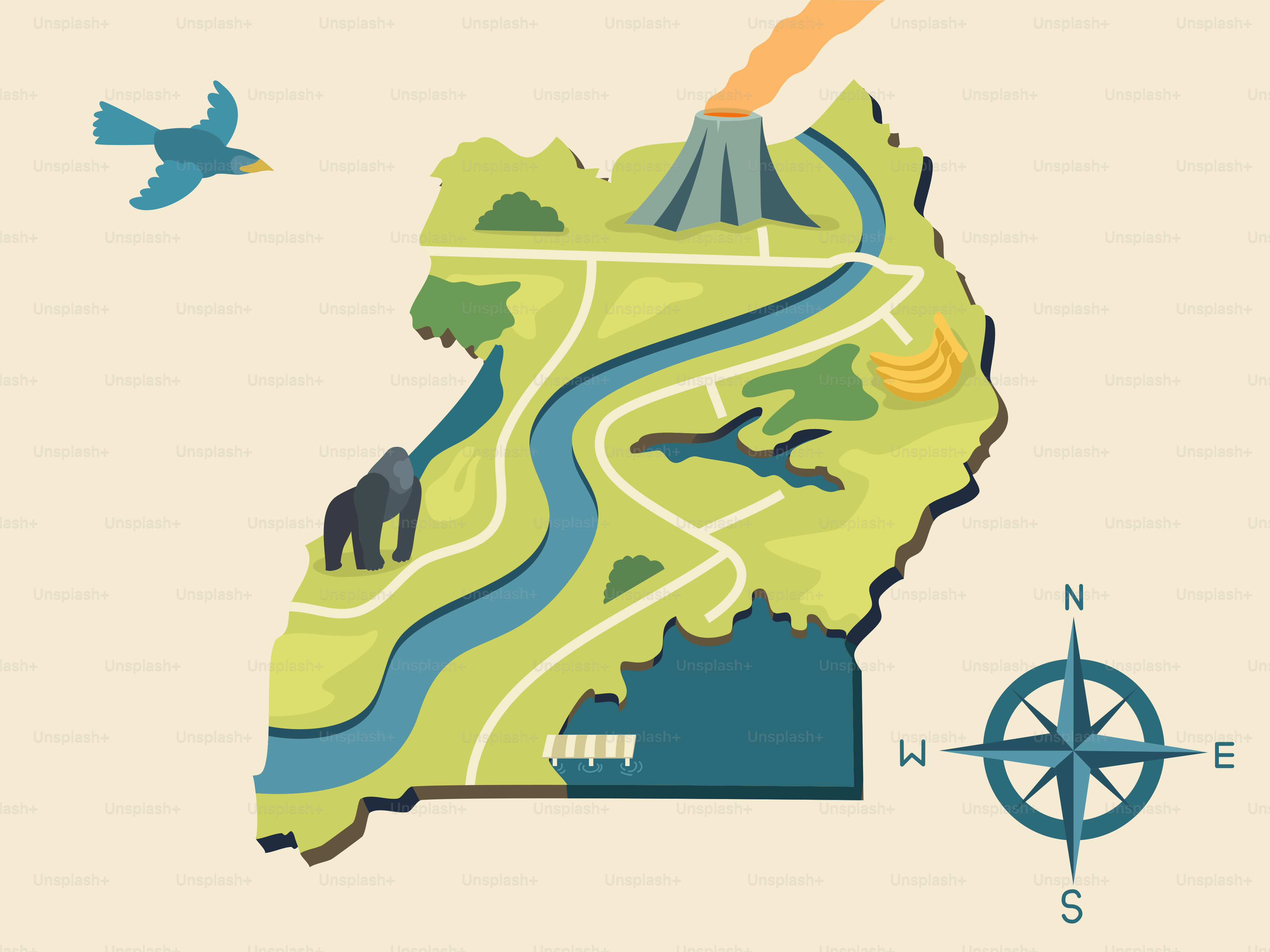 A map with a bird flying over it