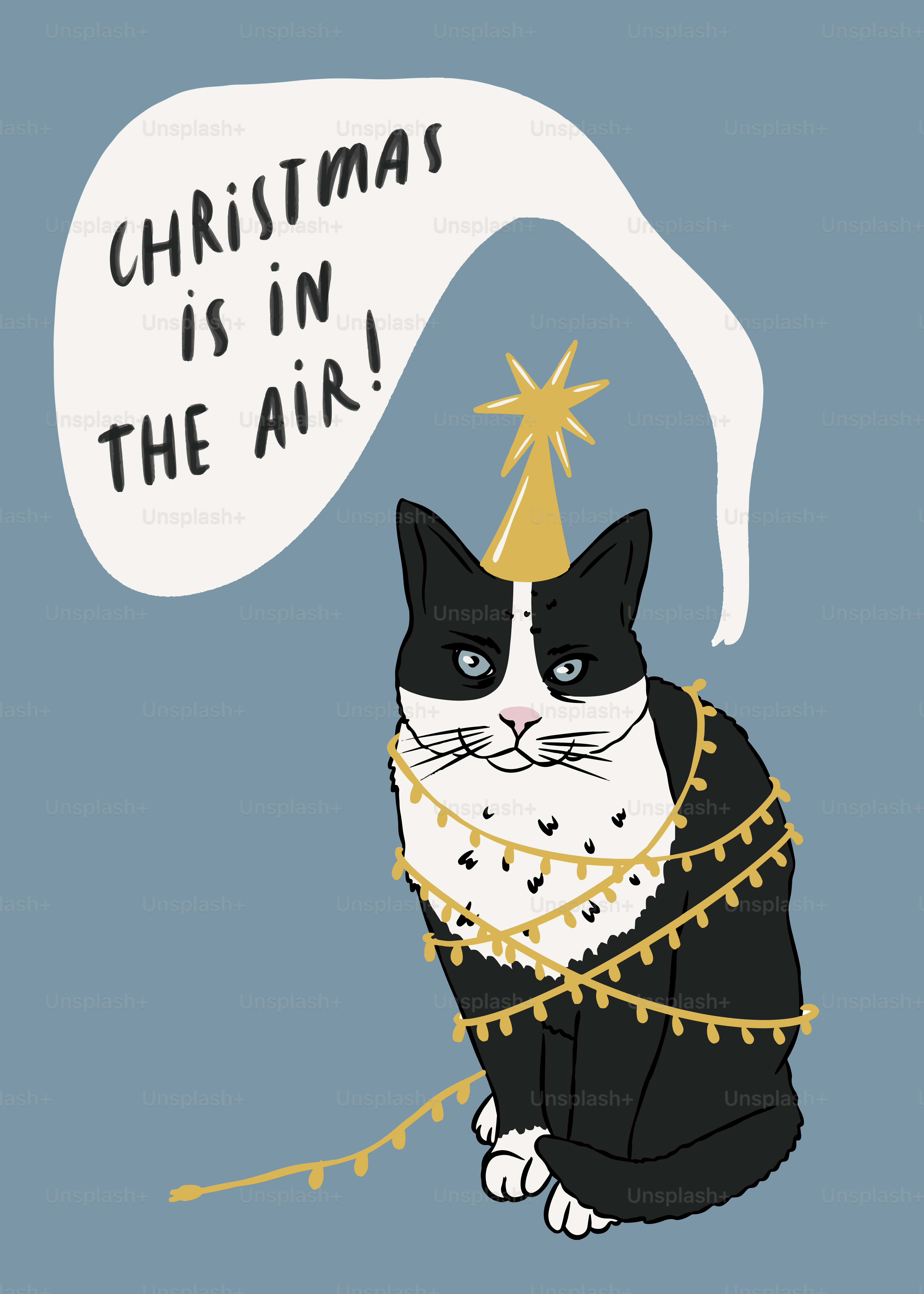 Seekor kucing hitam dan putih mengenakan topi natal