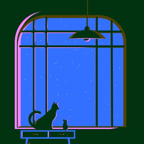 A cat sitting on a bench in front of a window