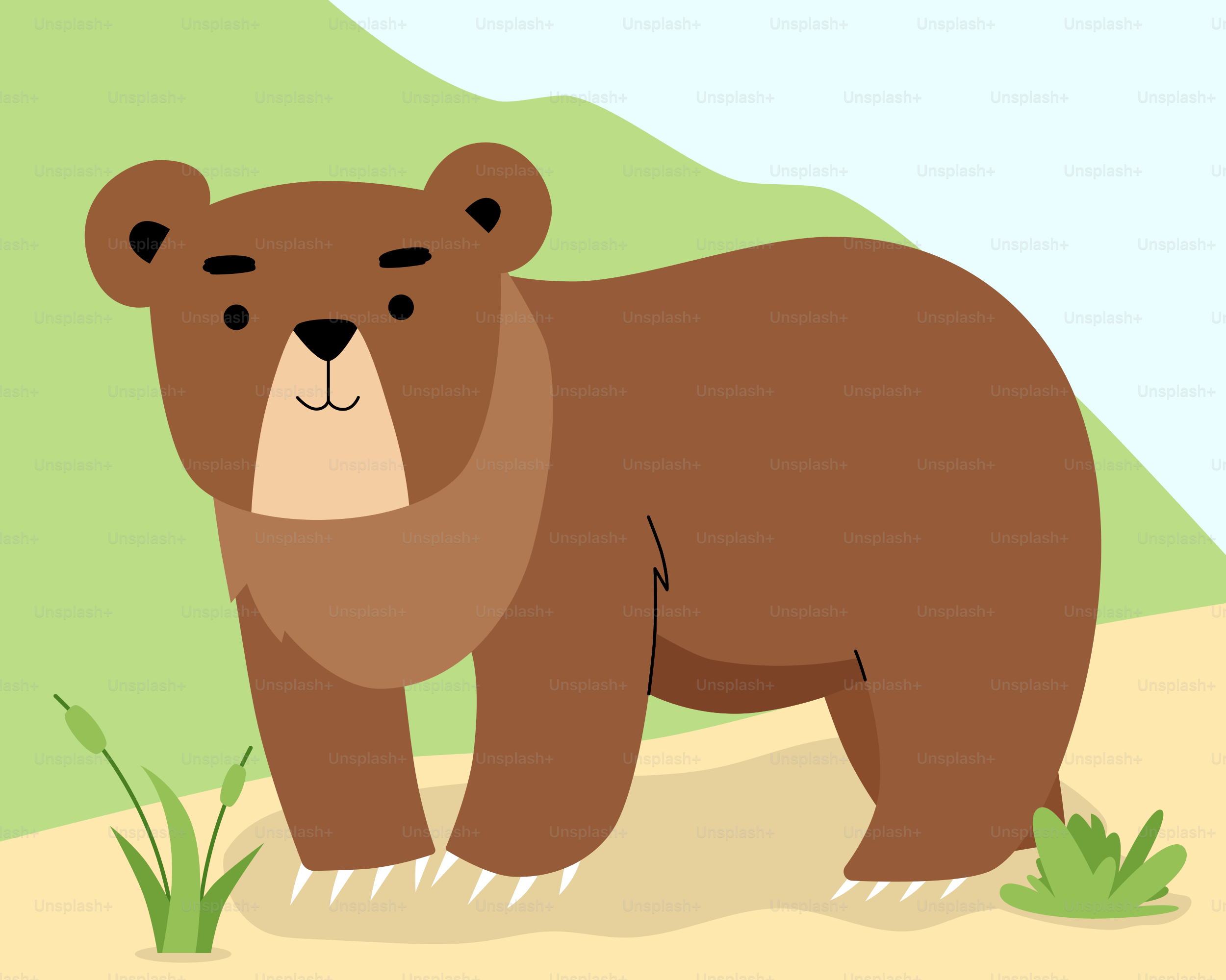 Un orso bruno in piedi in cima a un campo coperto di erba vettoriale –  Immagine di Animale su Unsplash, image size:3000x2400