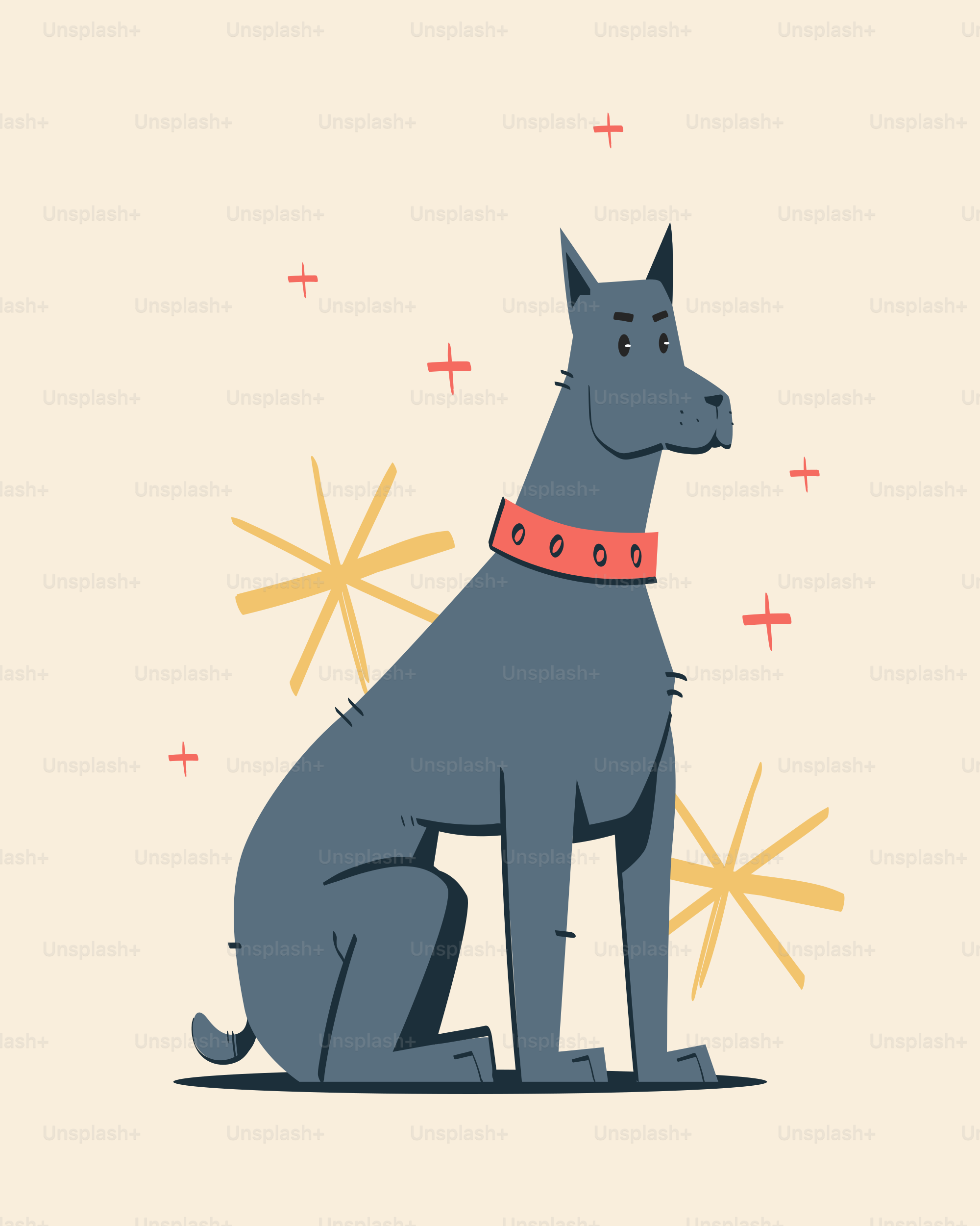 Ein Hund, der mit einem roten Halsband auf dem Boden sitzt