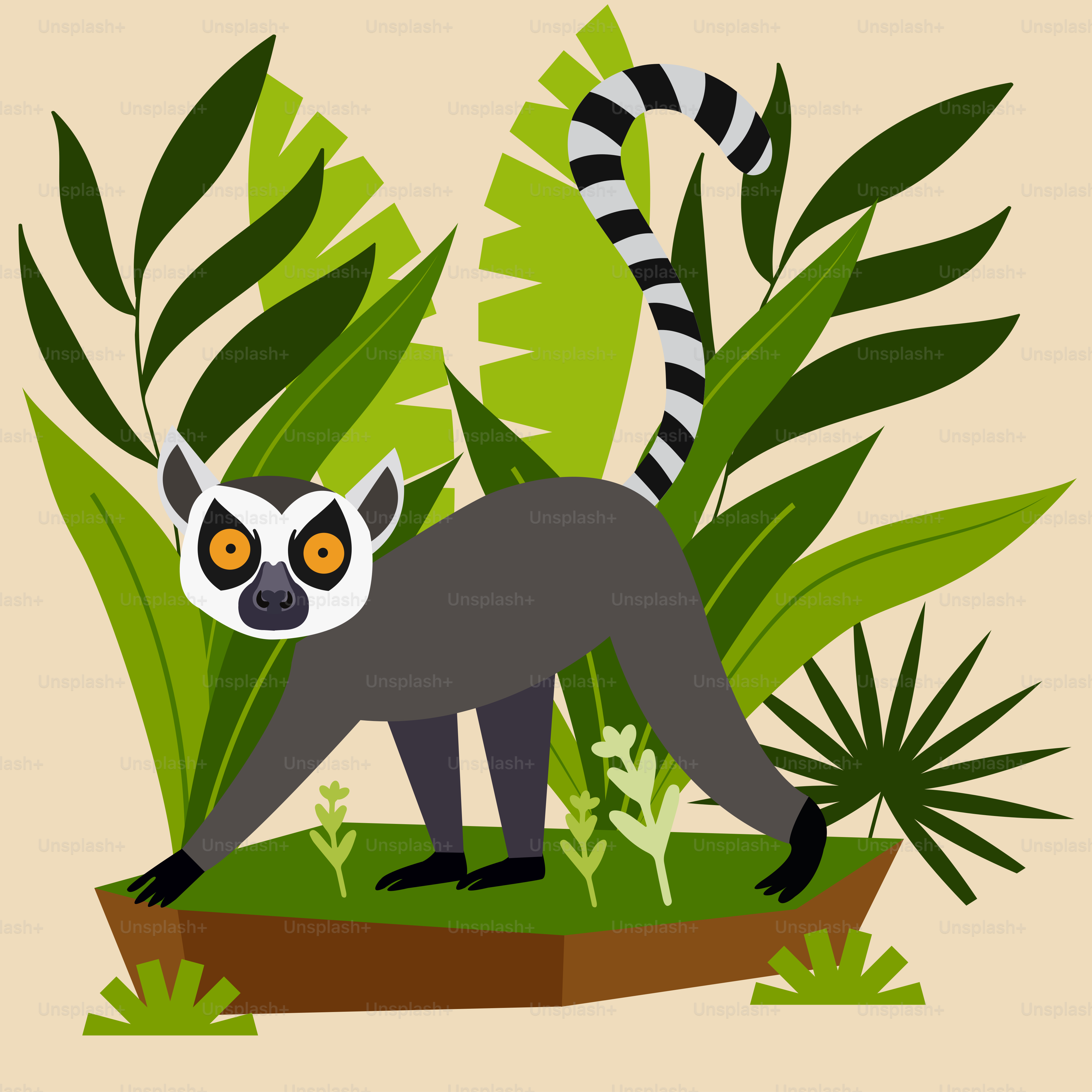 A picture of a lemura in the jungle