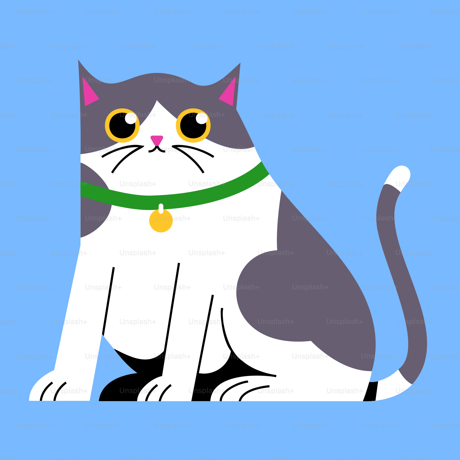 A gray and white cat with a green collar