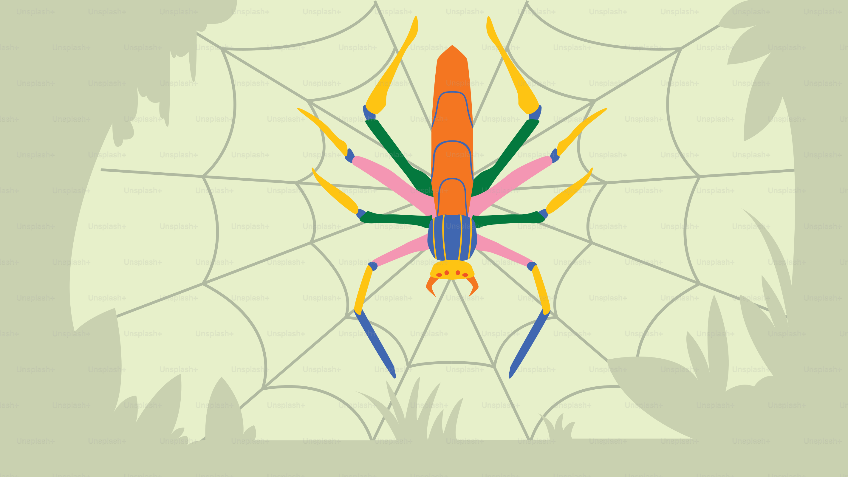 A picture of a spider on a web