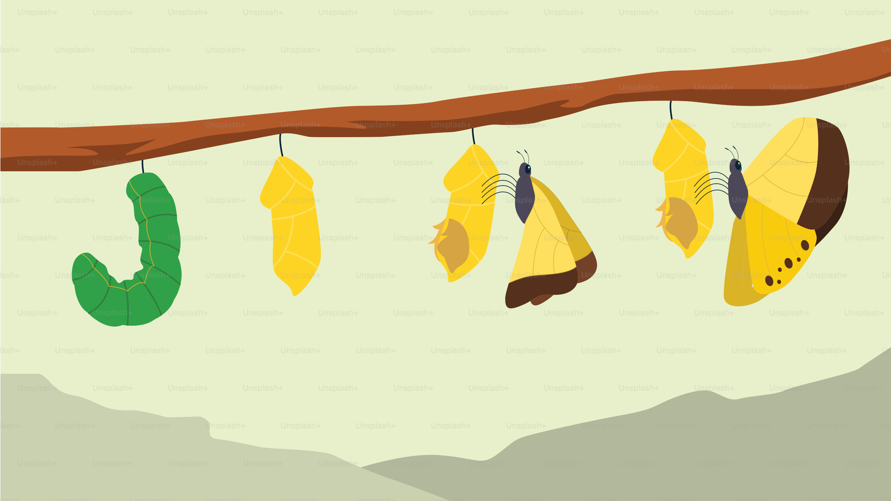 A tree branch with a bunch of leaves hanging from it