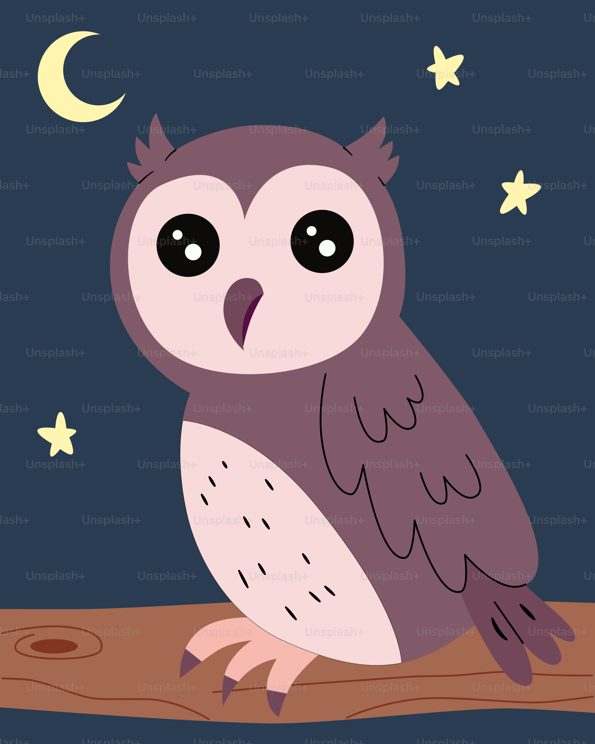 올빼미는 밤에 나뭇가지에 앉아 있습니다 벡터 – Unsplash의 동물 이미지, image size:3000x3750