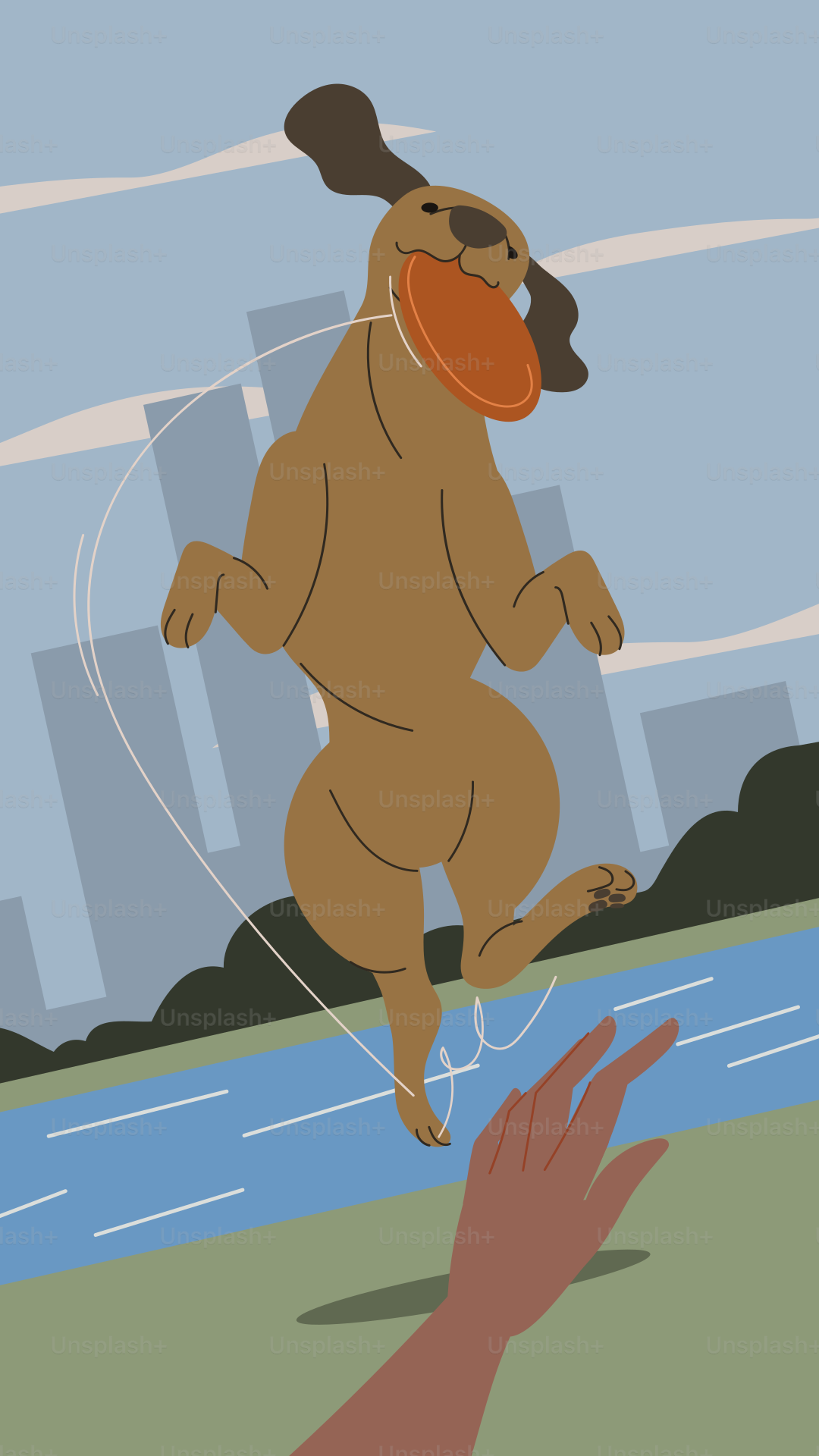 A dog is jumping in the air with a frisbee