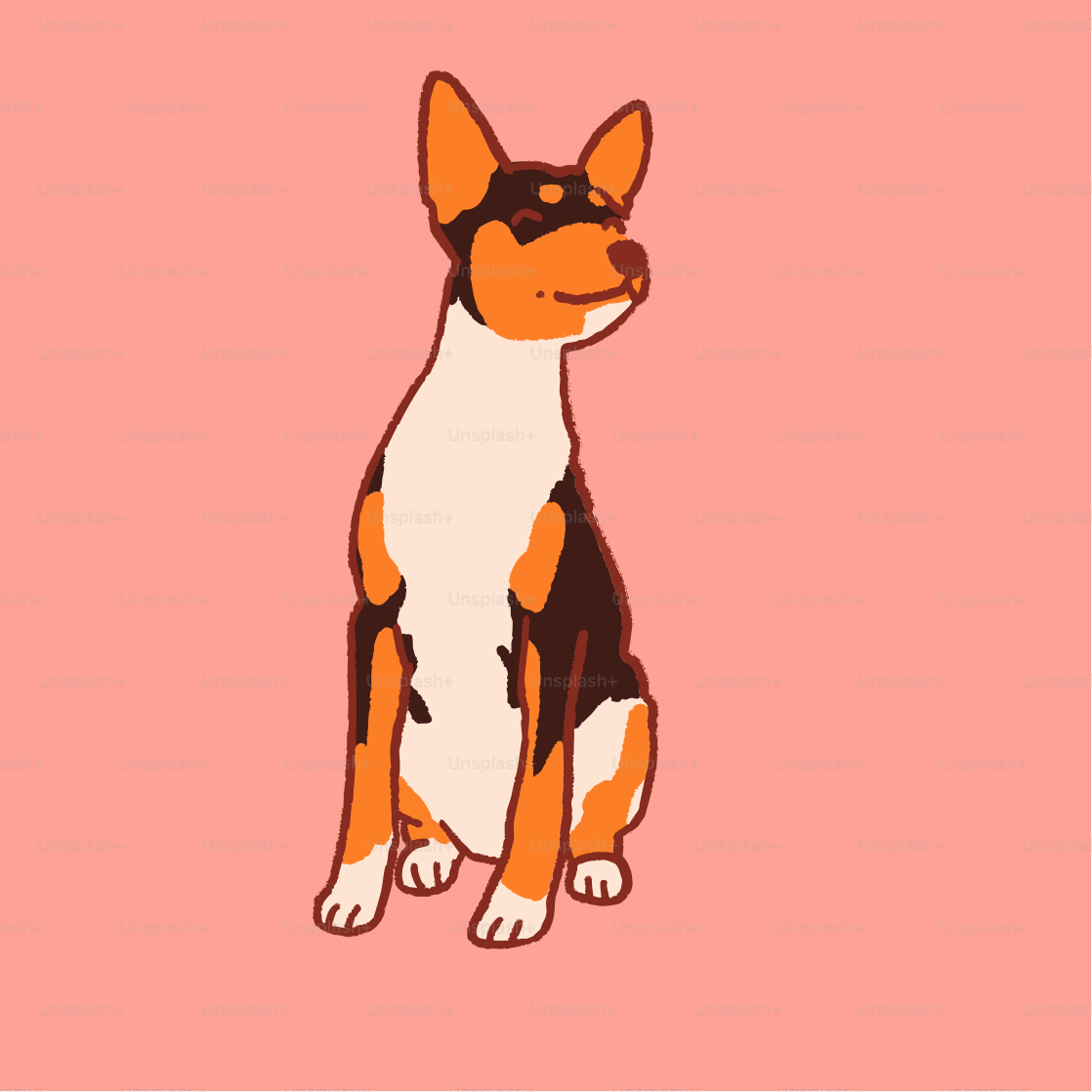 A small dog sitting on a pink background