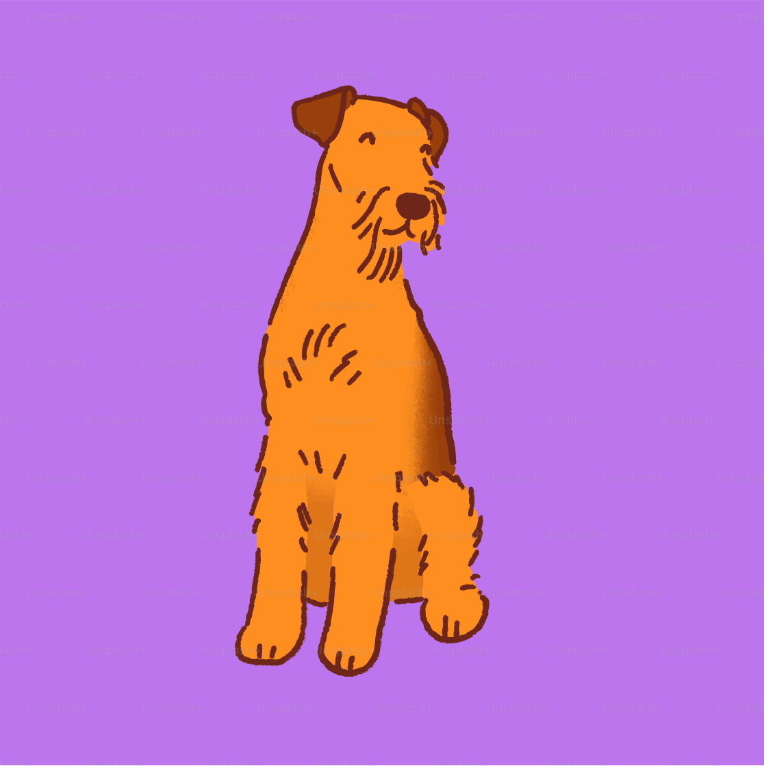 An orange dog sitting on a purple background