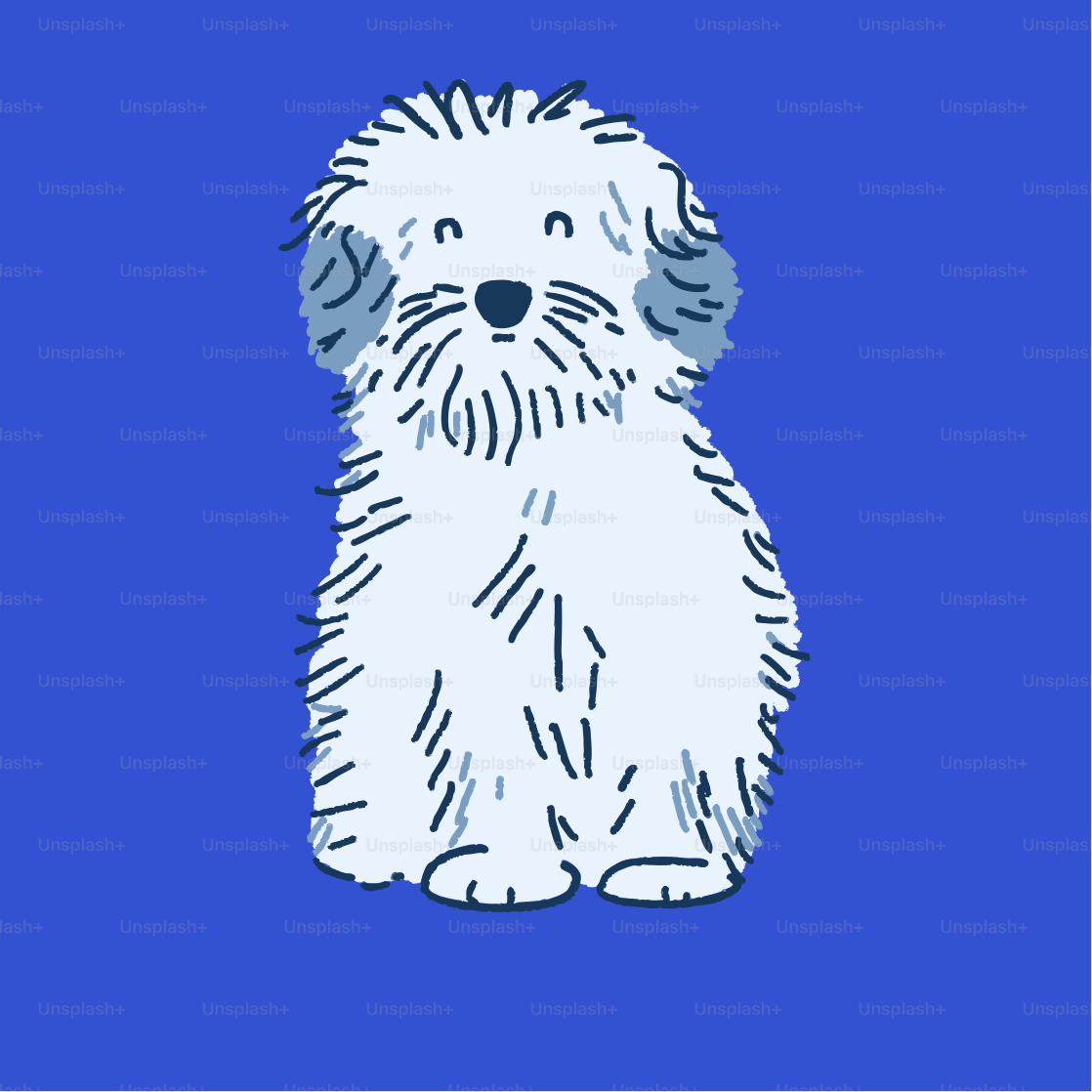 Un petit chien blanc assis sur un fond bleu
