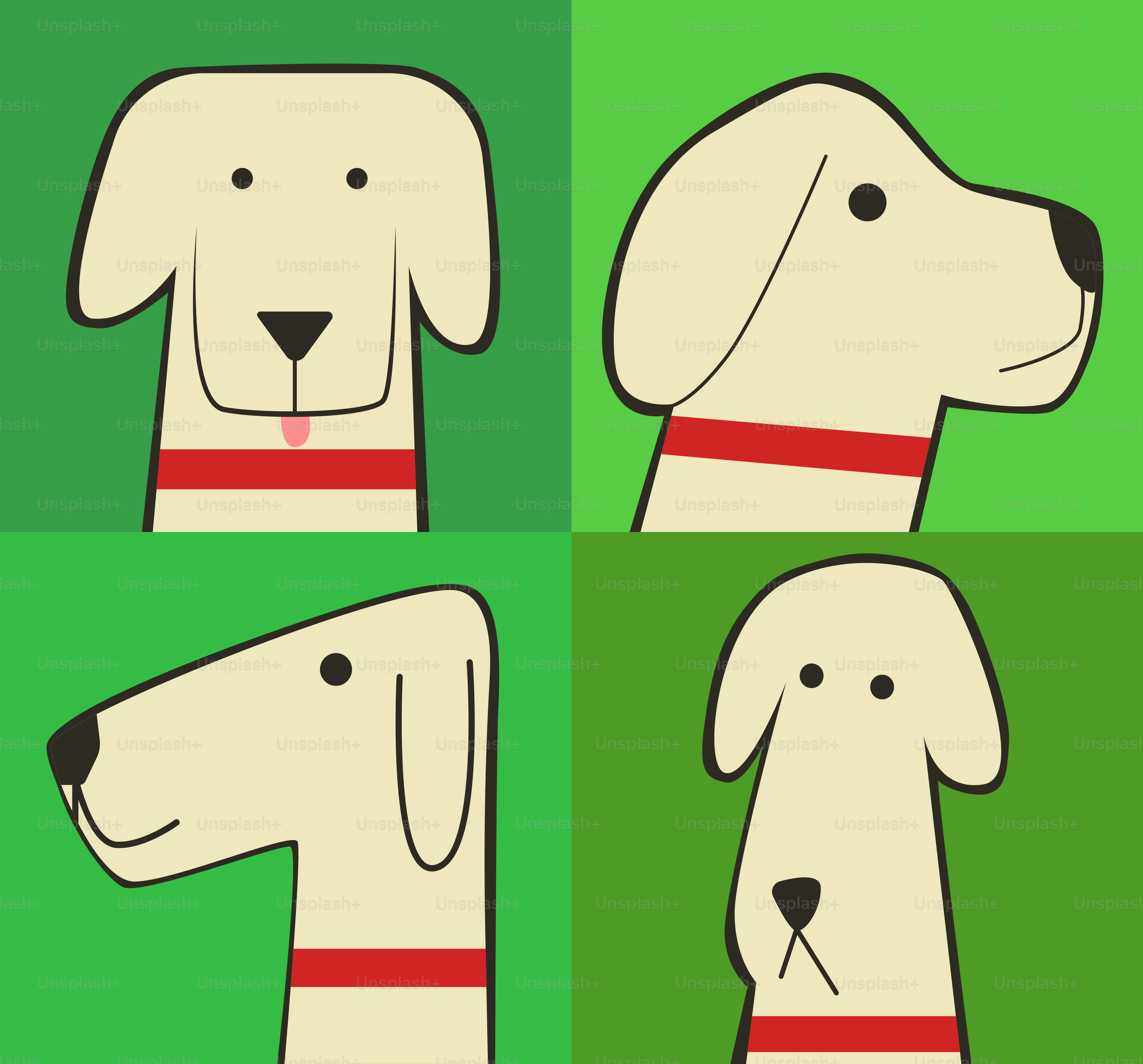 개 머리는 네 개의 정사각형으로 표시되어 있습니다