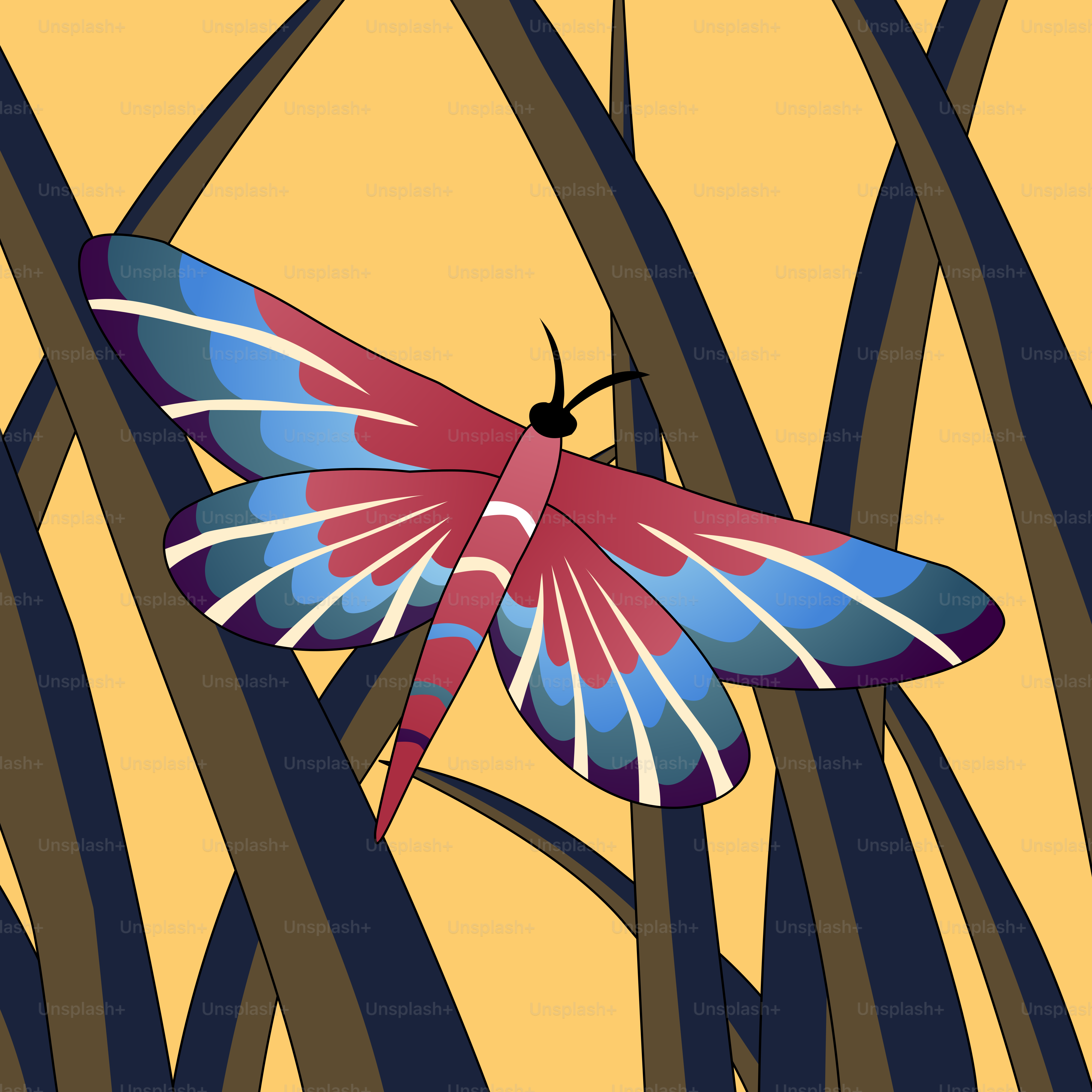 날개와 등에 하트가 있는 알록달록한 벌레 벡터 – Unsplash의 그림 이미지, image size:3000x3000