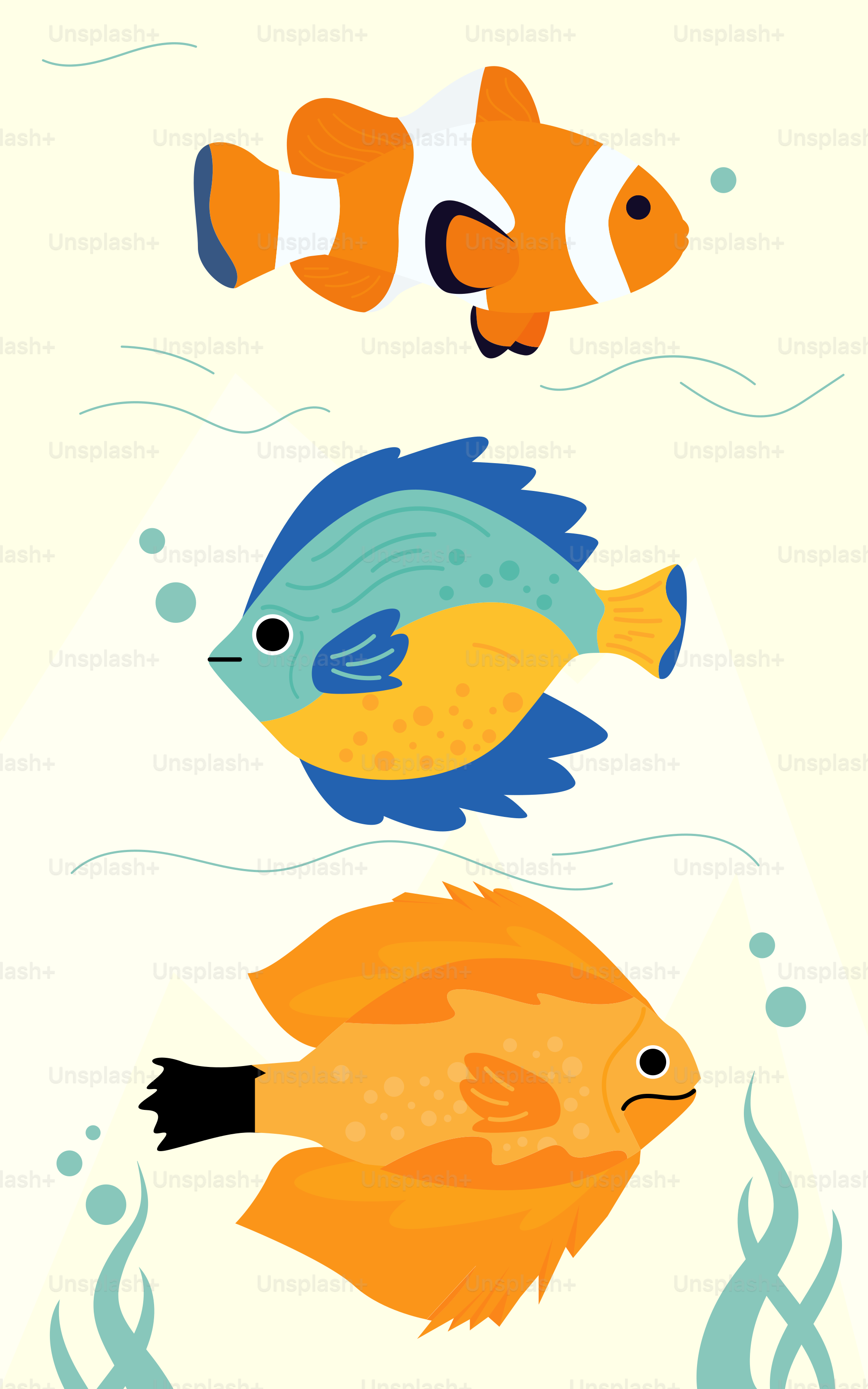 A couple of fish that are in the water