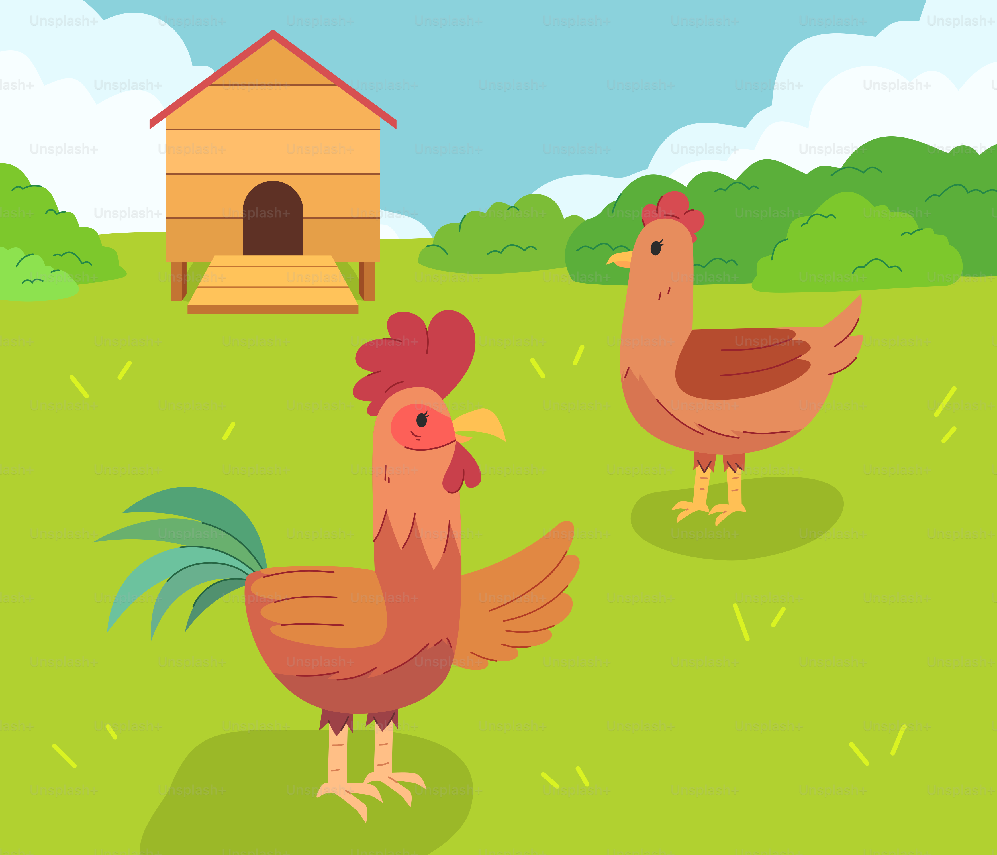 Un par de gallinas de pie en lo alto de un exuberante campo verde