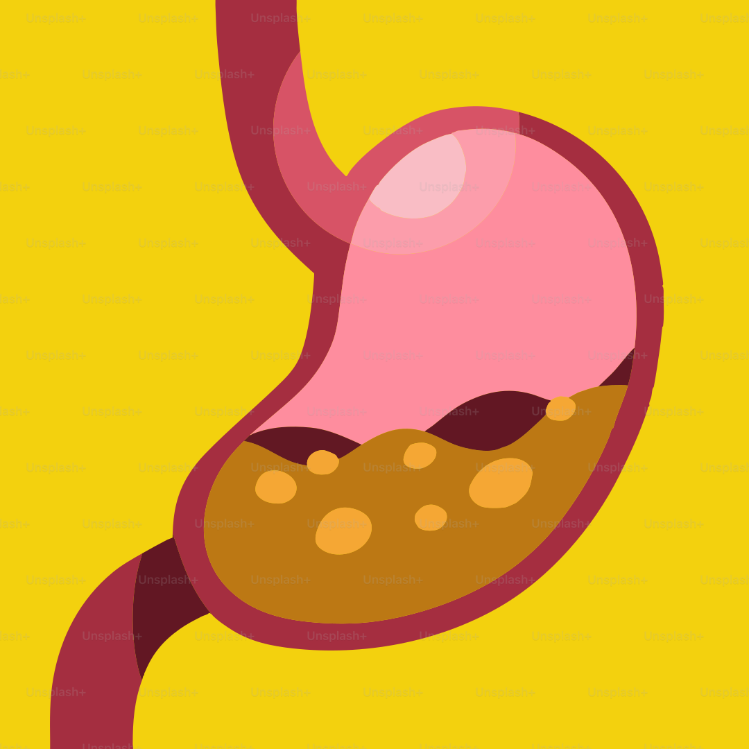 Eine Karikatur eines Magens mit einer kleinen Menge Essen darin