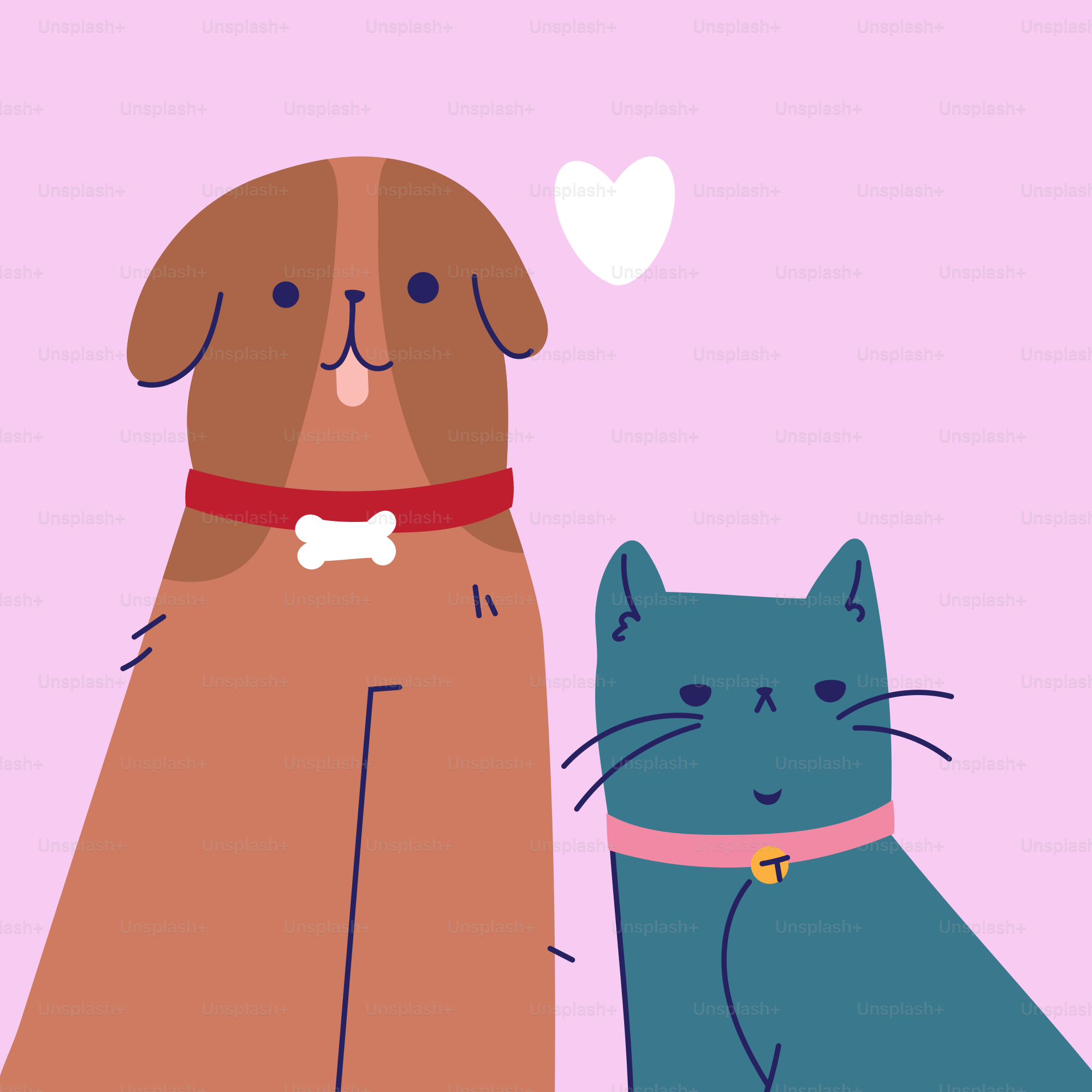 Un cane e un gatto sono amici intimi. vettoriale – Immagine di Gatto su  Unsplash, image size:3000x3000