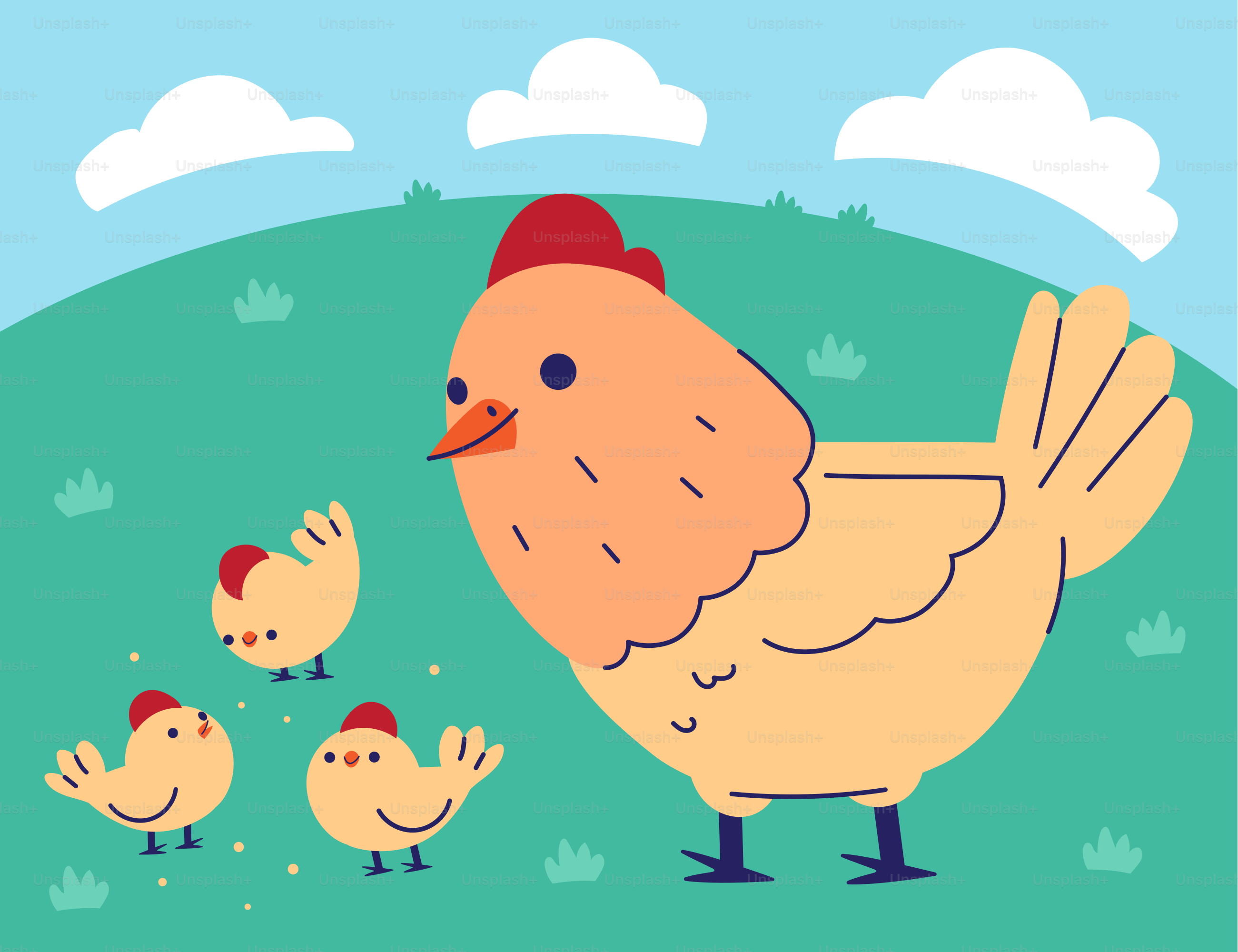 Une photo d’une poule et de ses poussins