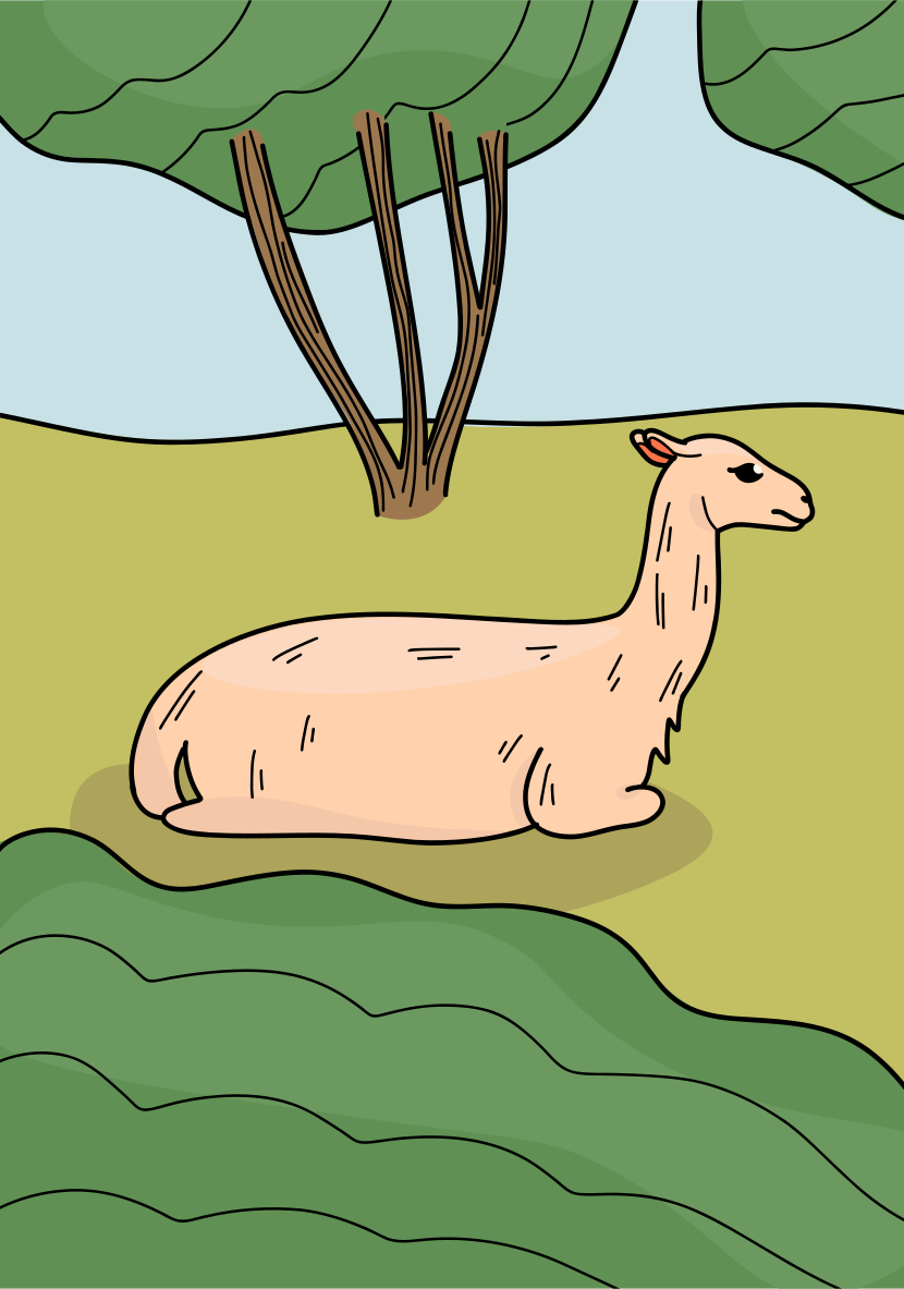 A cartoon of a llama laying in the grass