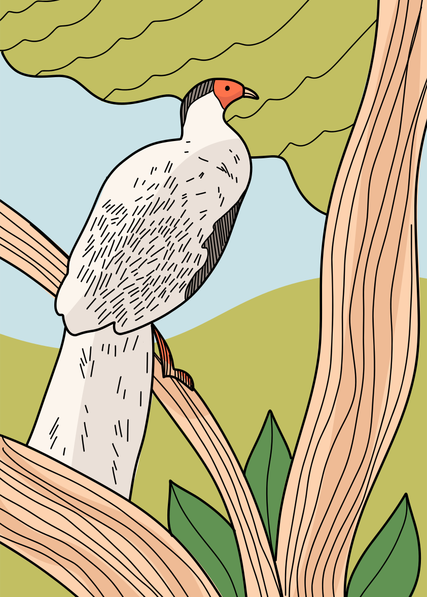 A bird sitting on a branch of a tree