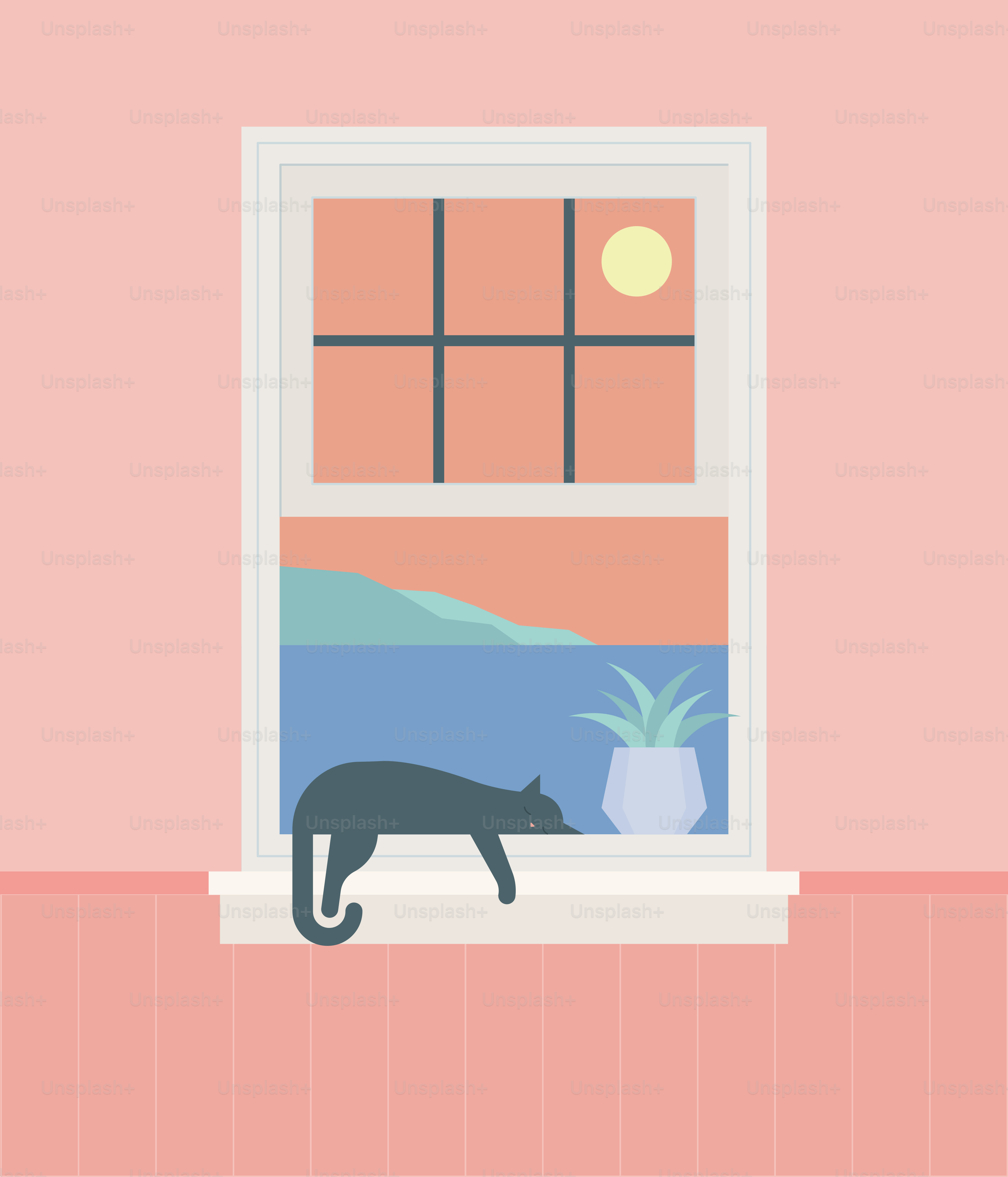 Eine Katze steht vor einem Fenster