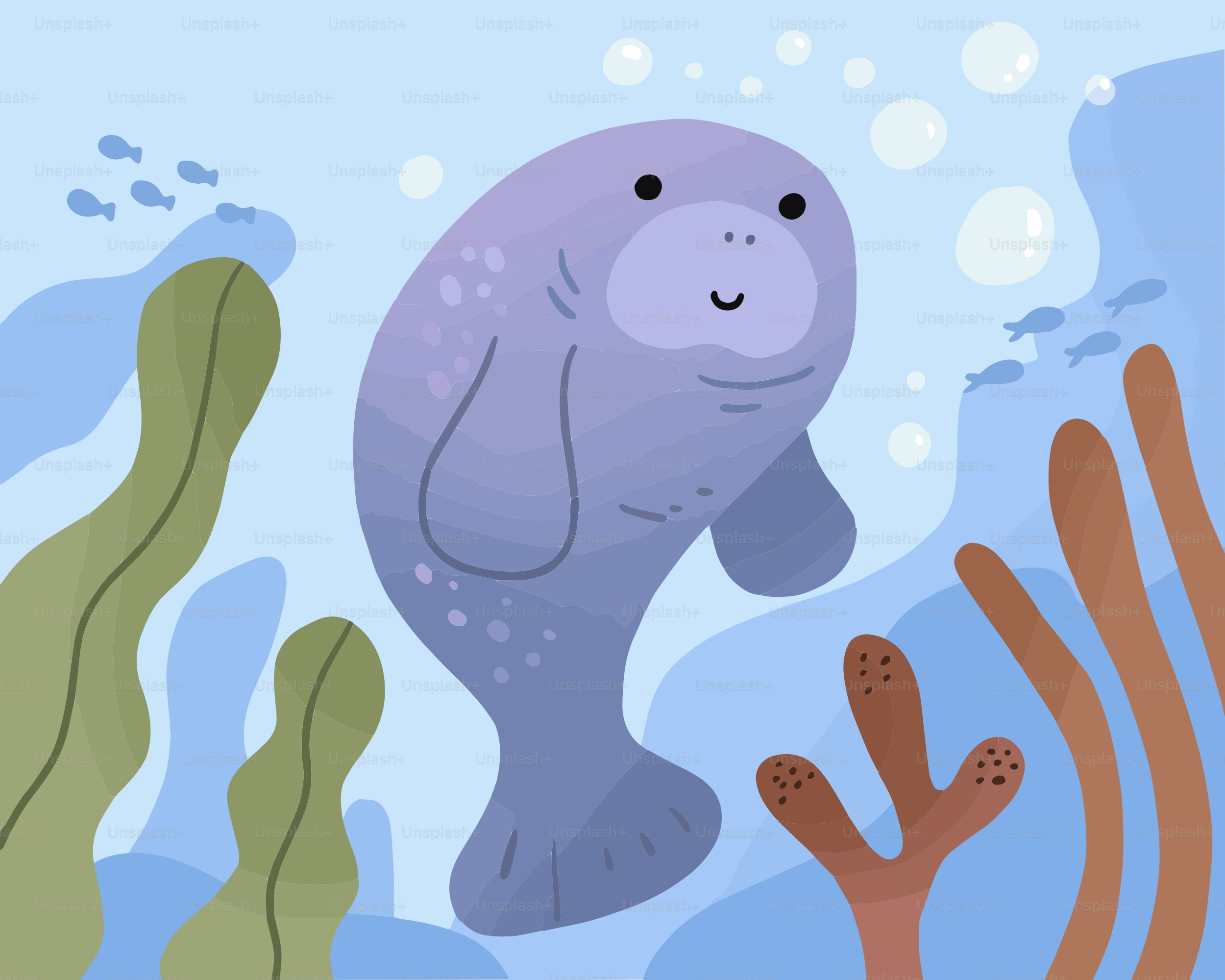 A picture of a fish in the water