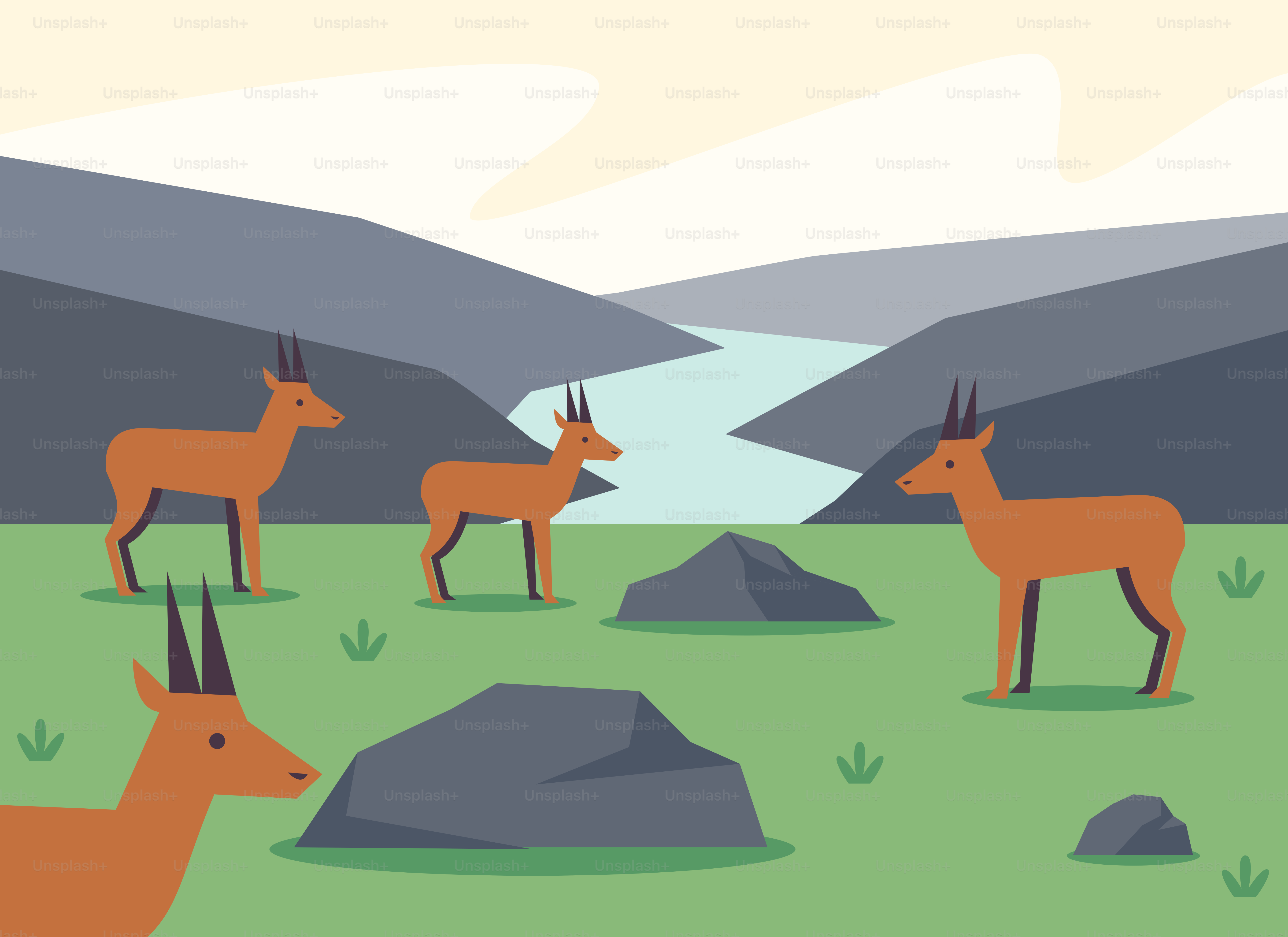 Un branco di cervi in piedi sopra un campo coperto dall'erba