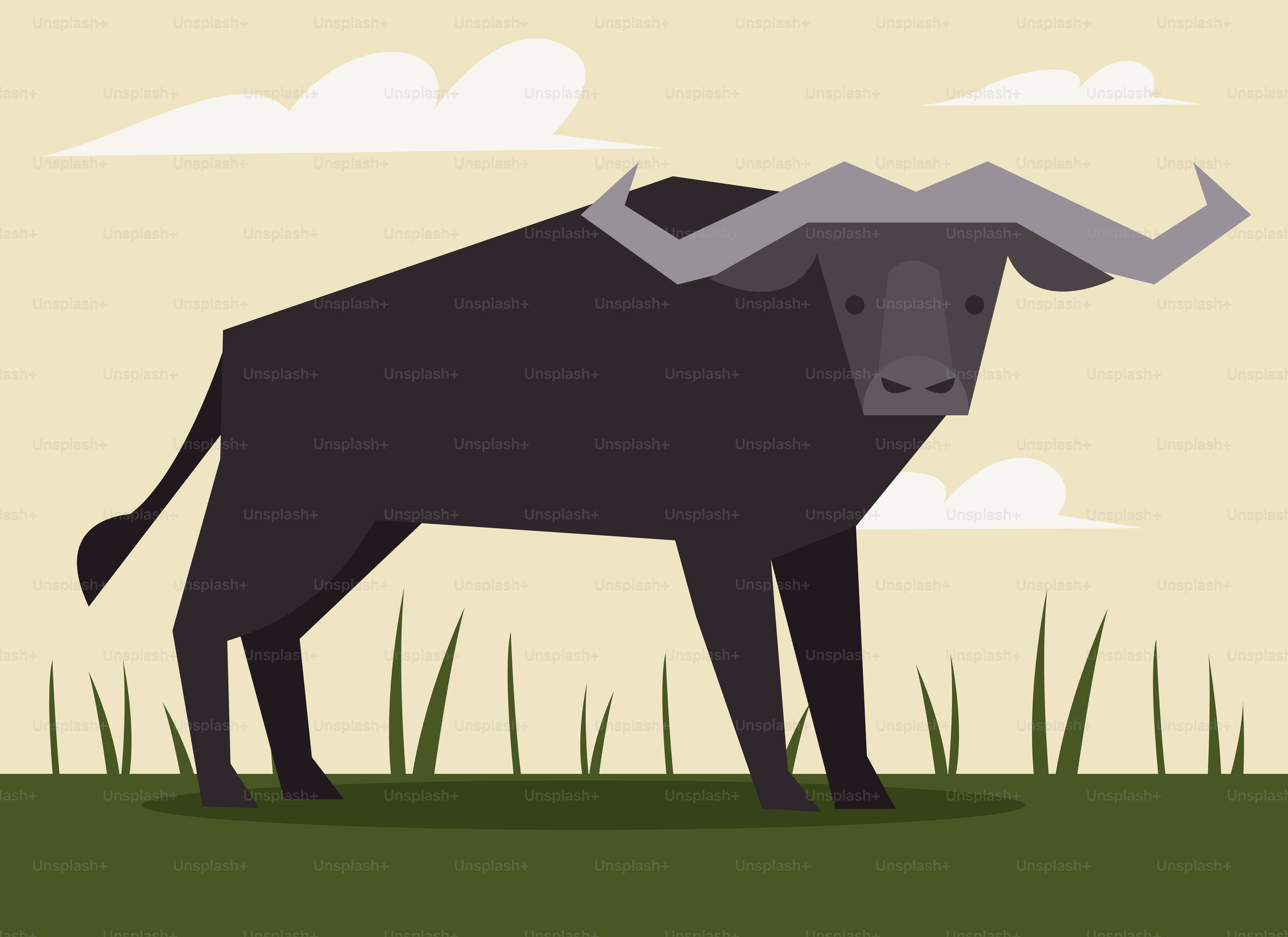 Ein Bulle, der auf einem Feld mit einem Himmelshintergrund steht