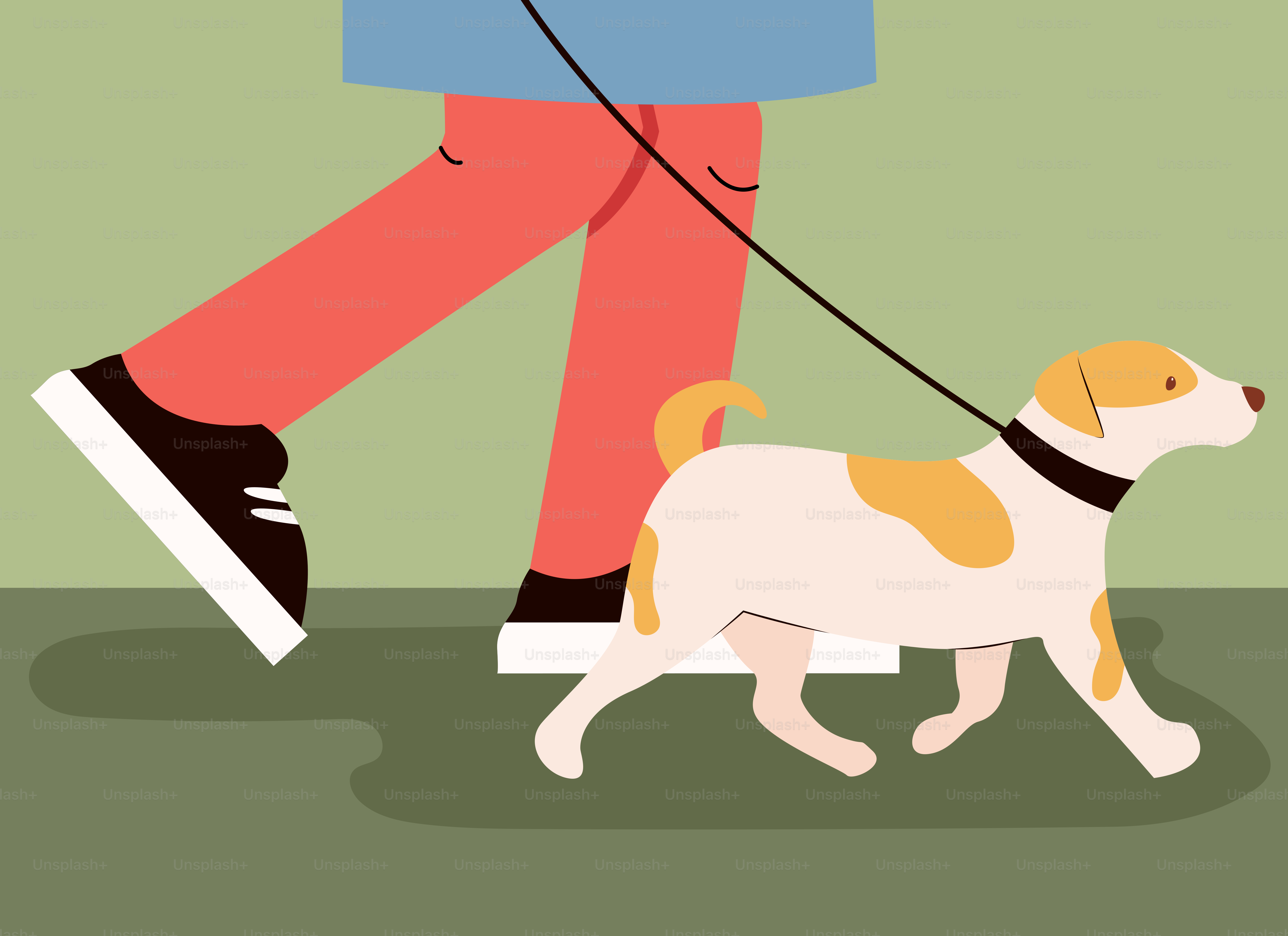 A person walking a dog on a leash