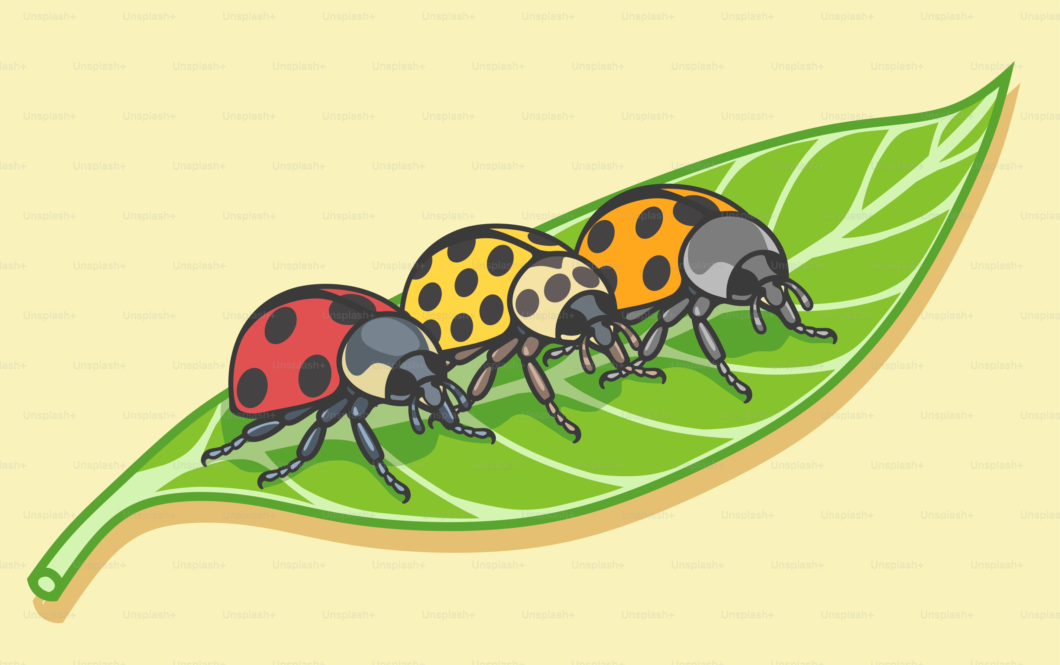 A group of ladybugs sitting on top of a green leaf
