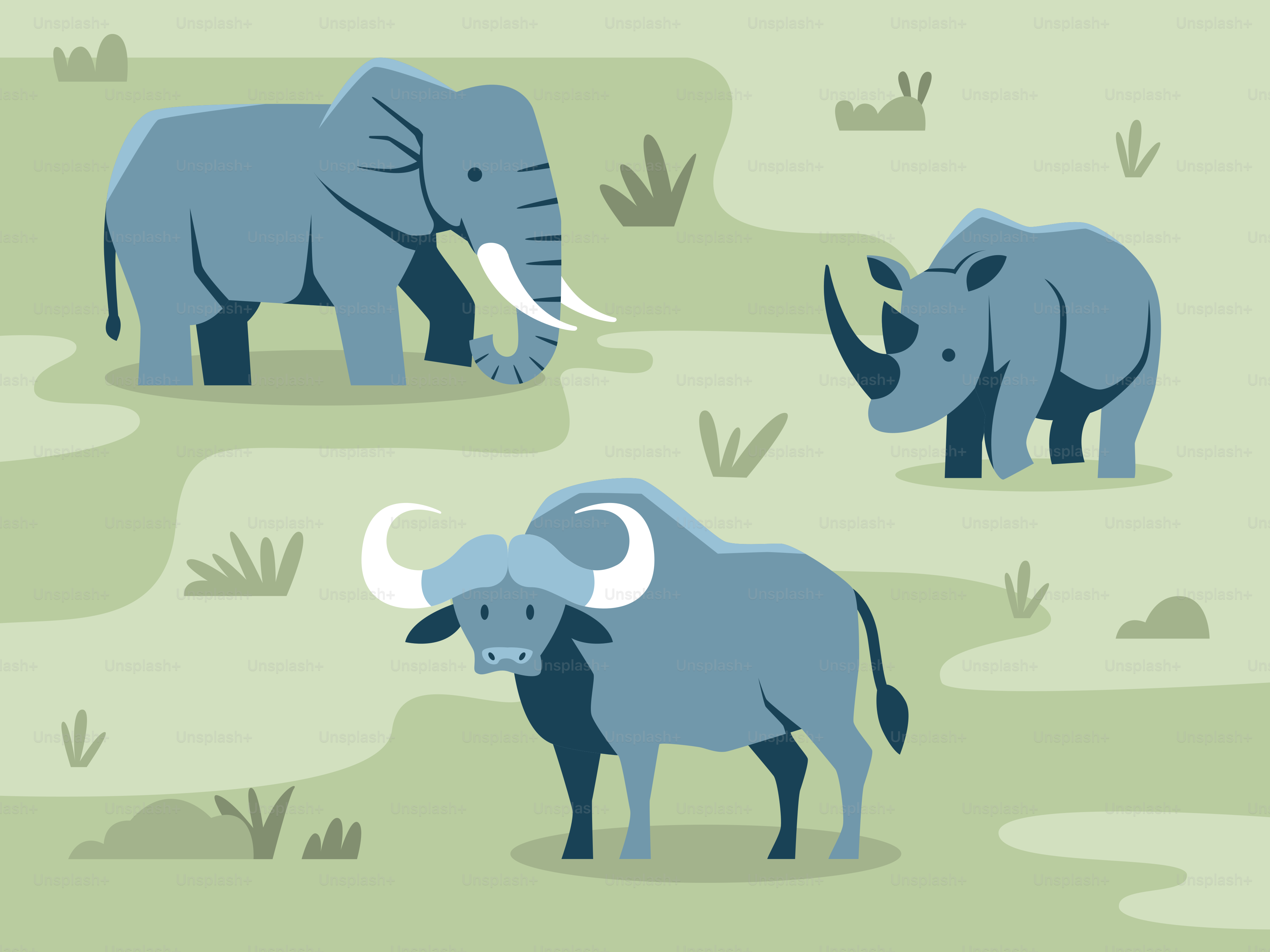 A herd of elephants standing on top of a grass covered field